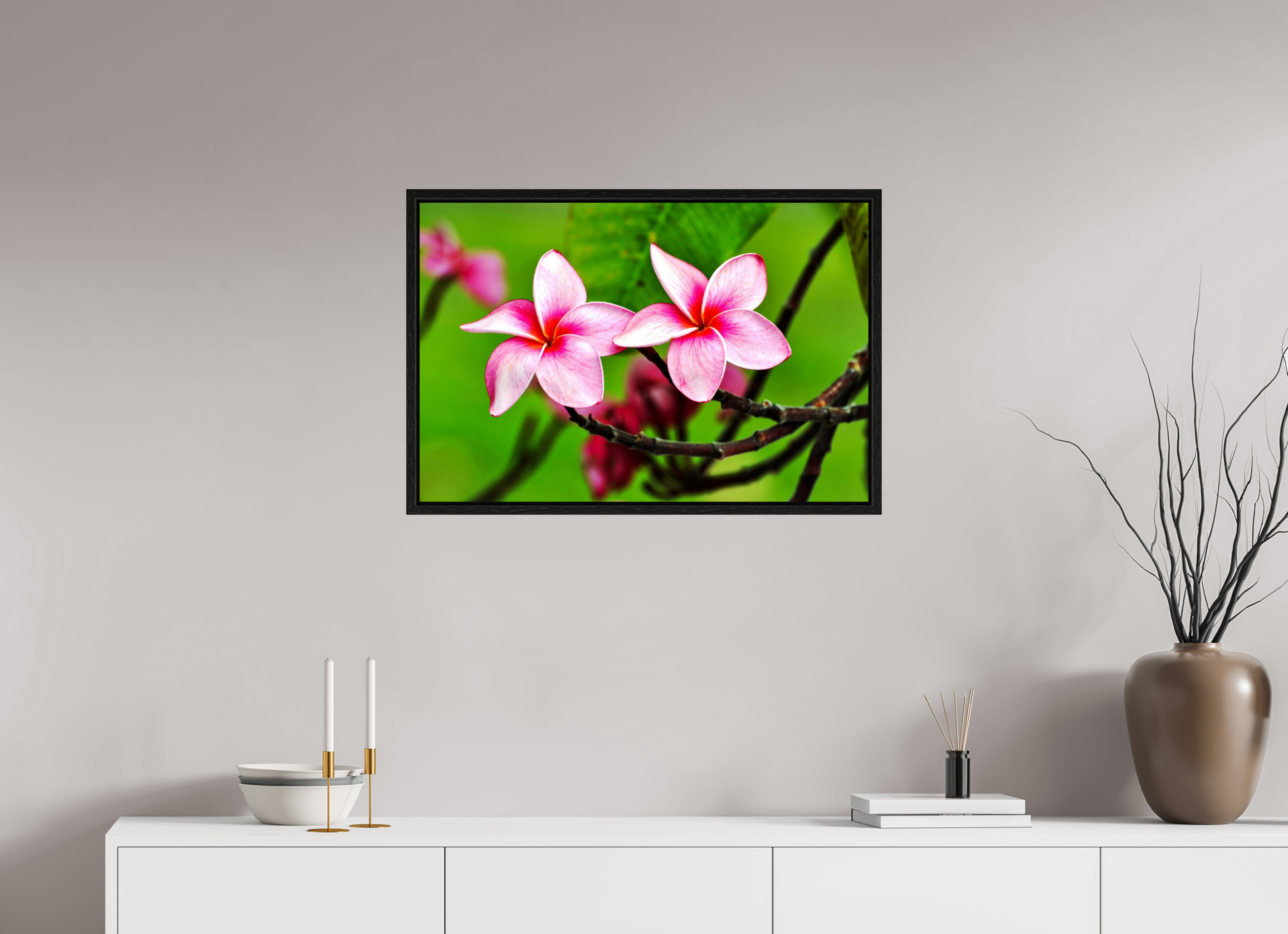 30 x 20″, Floater Frame, Basel 0.6", Black Oak, Glossy Acrylic Glass Pink Plumeria Rubra (Frangipani)