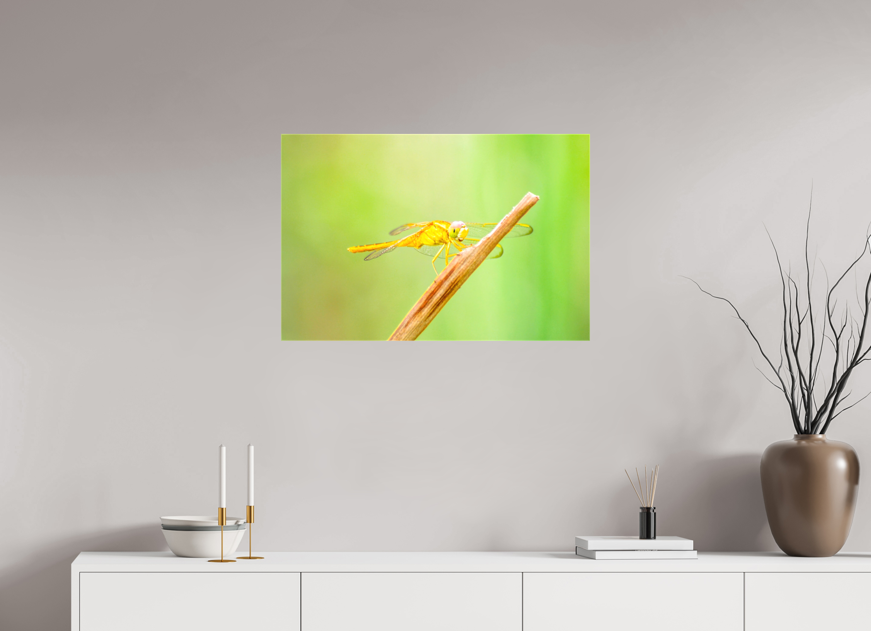 30 x 20″, Glossy Canvas on Stretcher Frame, 1,57" Wrapped Sun-Drenched Golden Scarlet Skimmer
