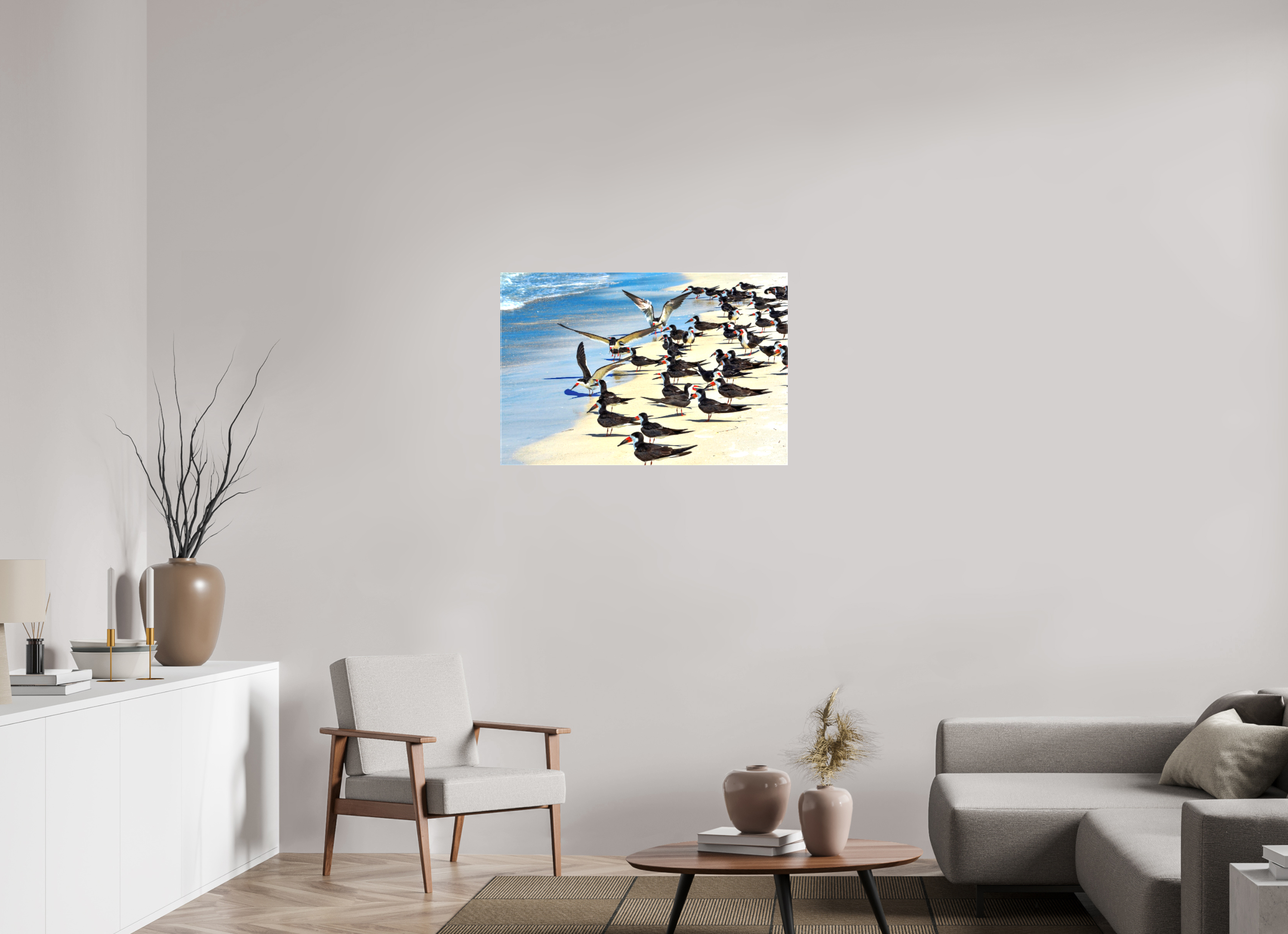 36 x 24″, Glossy Canvas on Stretcher Frame, 1,57" Wrapped Shoreline Social: Black Skimmer Colony