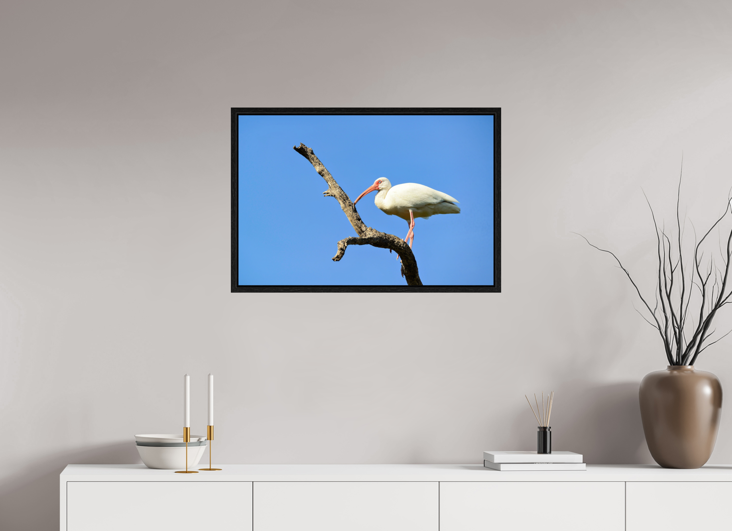 30 x 20″, Floater Frame, Basel 0.6", Black Oak, Glossy Acrylic Glass Azure Solitude: The American White Ibis