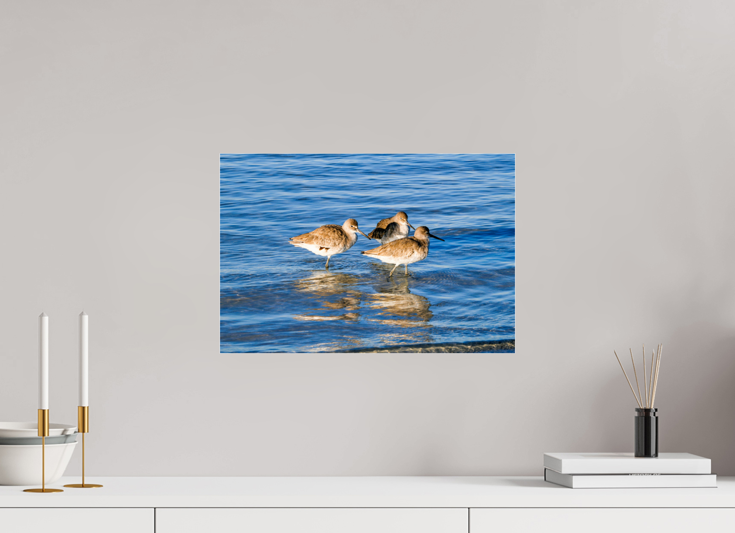 17.8 x 12″, Metallic Photo Print Under Acrylic Glass The Shoreline Trio: Willets in the Surf