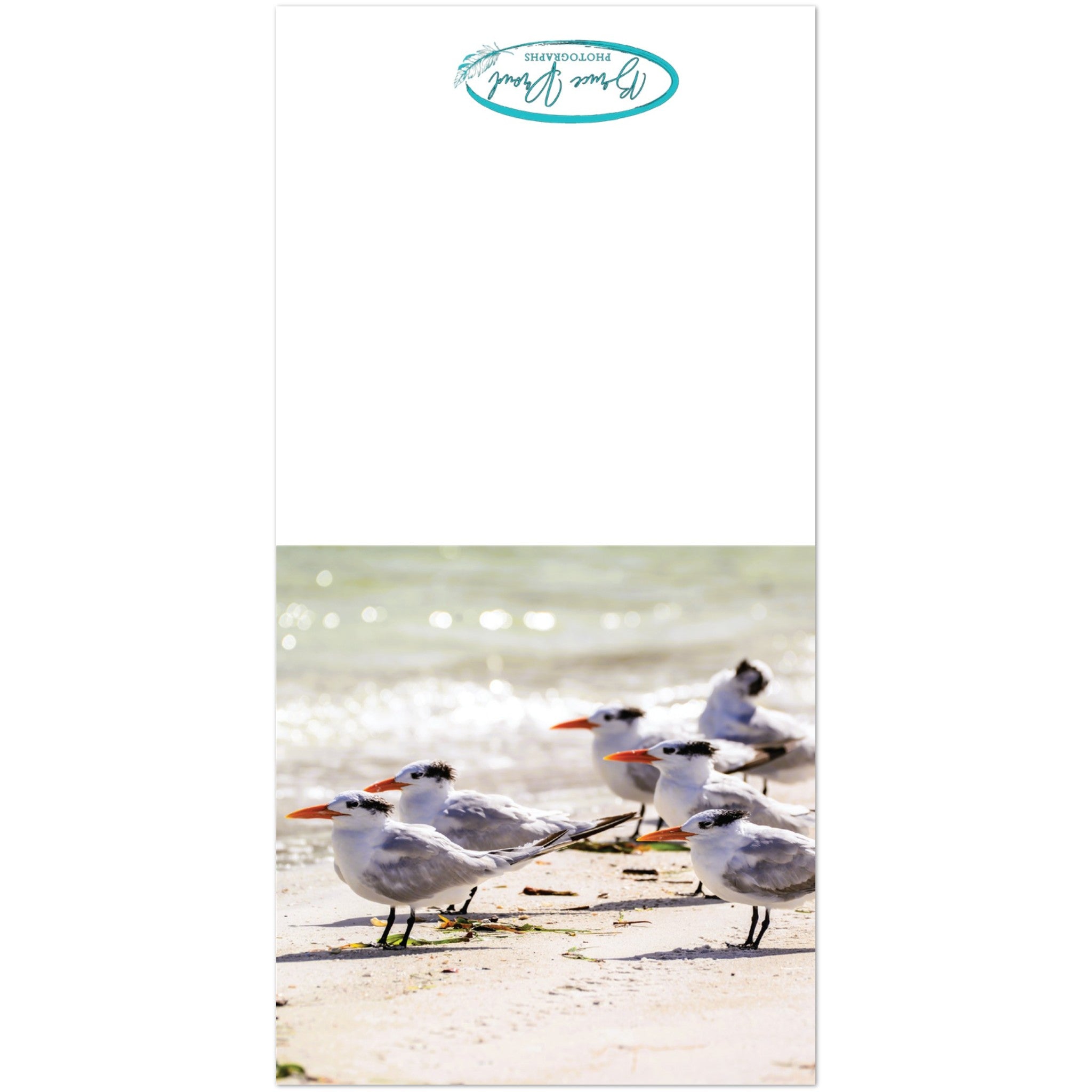 debc1e83-76e1-4072-8a83-81b5ed5df62f