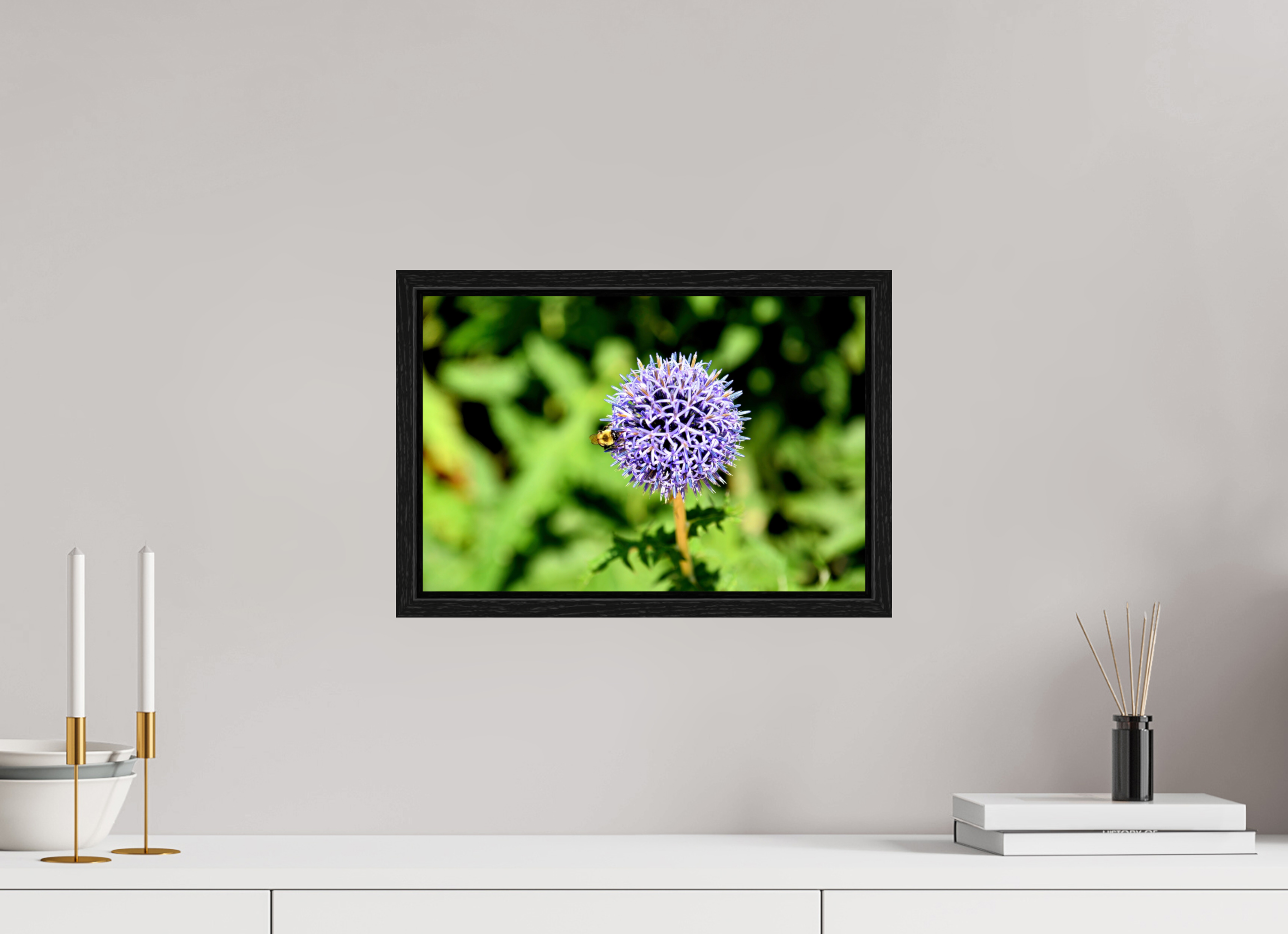 15 x 10″, Floater Frame, Basel 0.6", Black Oak, Glossy Acrylic Glass The Bee & The Globe Thistle (Echinops)