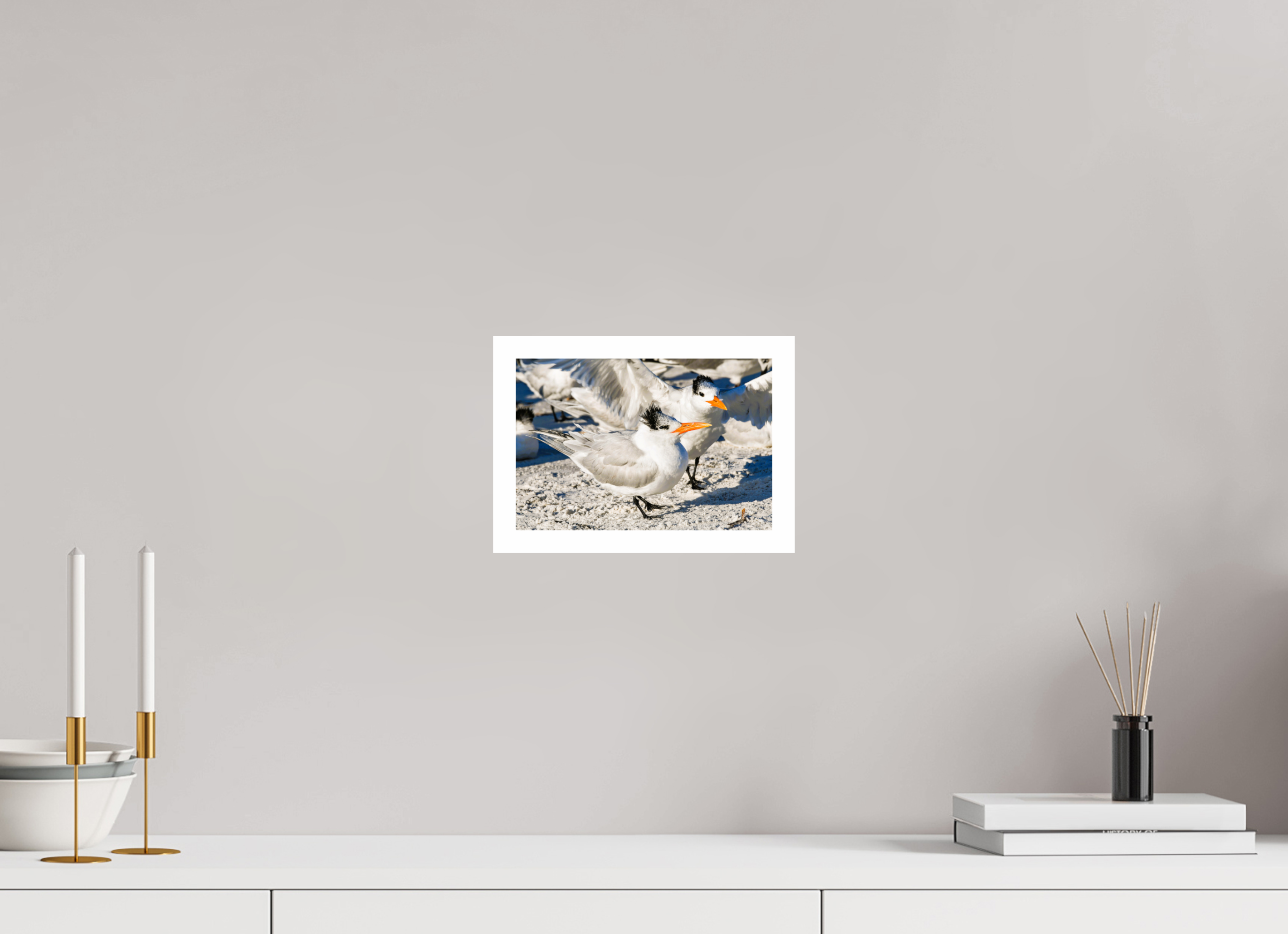 8.9 x 6″, Hahnemühle FineArt Pearl Print, .79" white border Coastal Royalty