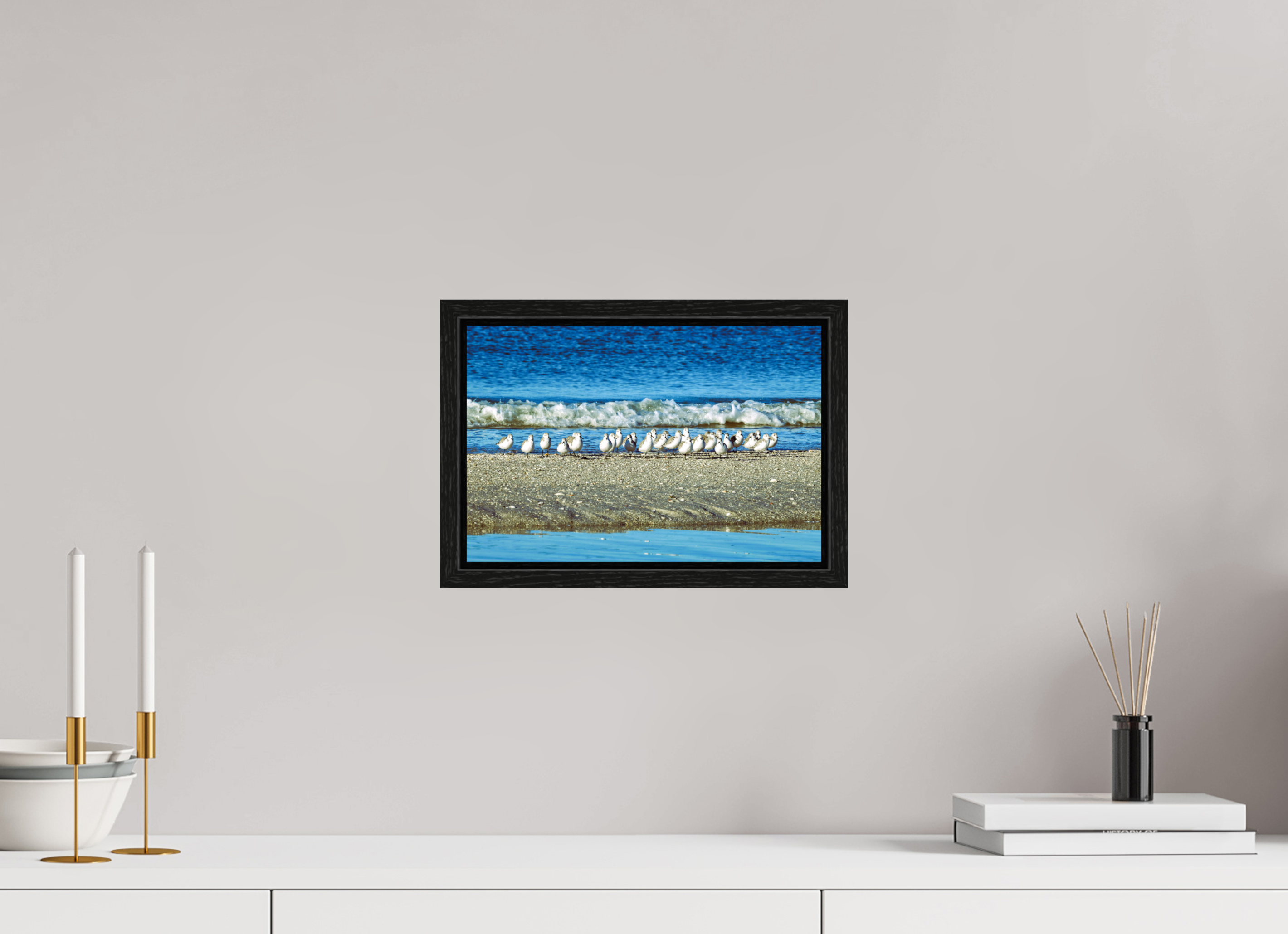 12 x 8″, Floater Frame, Basel 0.6", Black Oak, Glossy Acrylic Glass Sanderlings on Standby