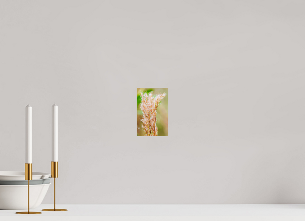 4 x 6.3″, Photo Print On Fuji Crystal DP II Bushy Bluestem in the Breeze