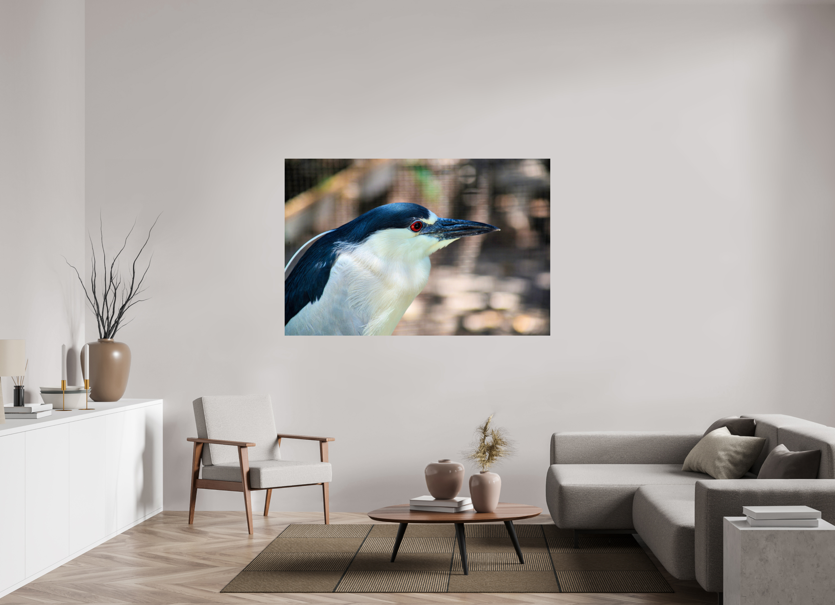 66 x 44″, Photo Print On Fuji Crystal DP II Black-crowned Night Heron