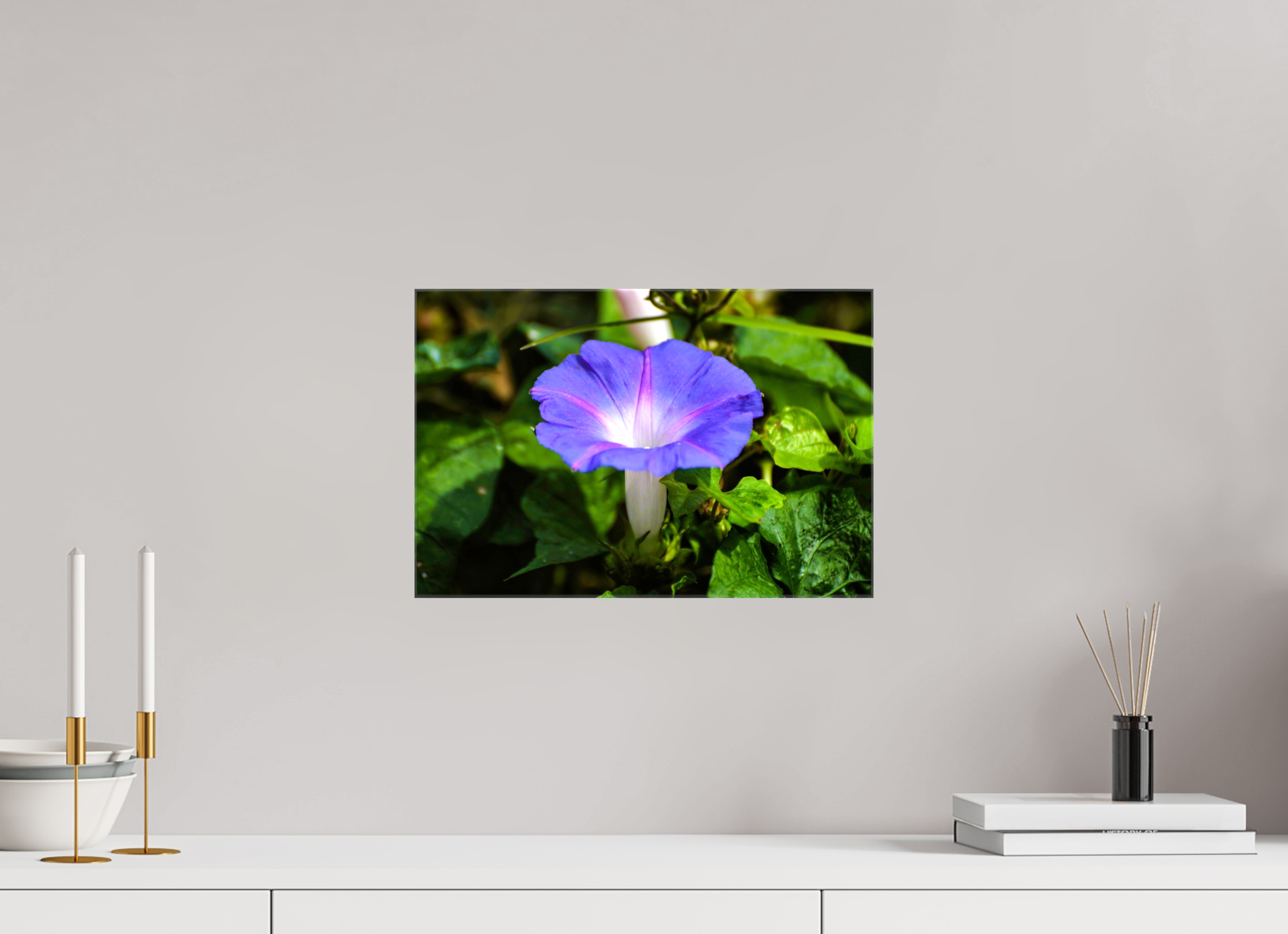 15 x 10″, Glossy Canvas on Stretcher Frame, 1,57" Wrapped Heavenly Blue Morning Glory
