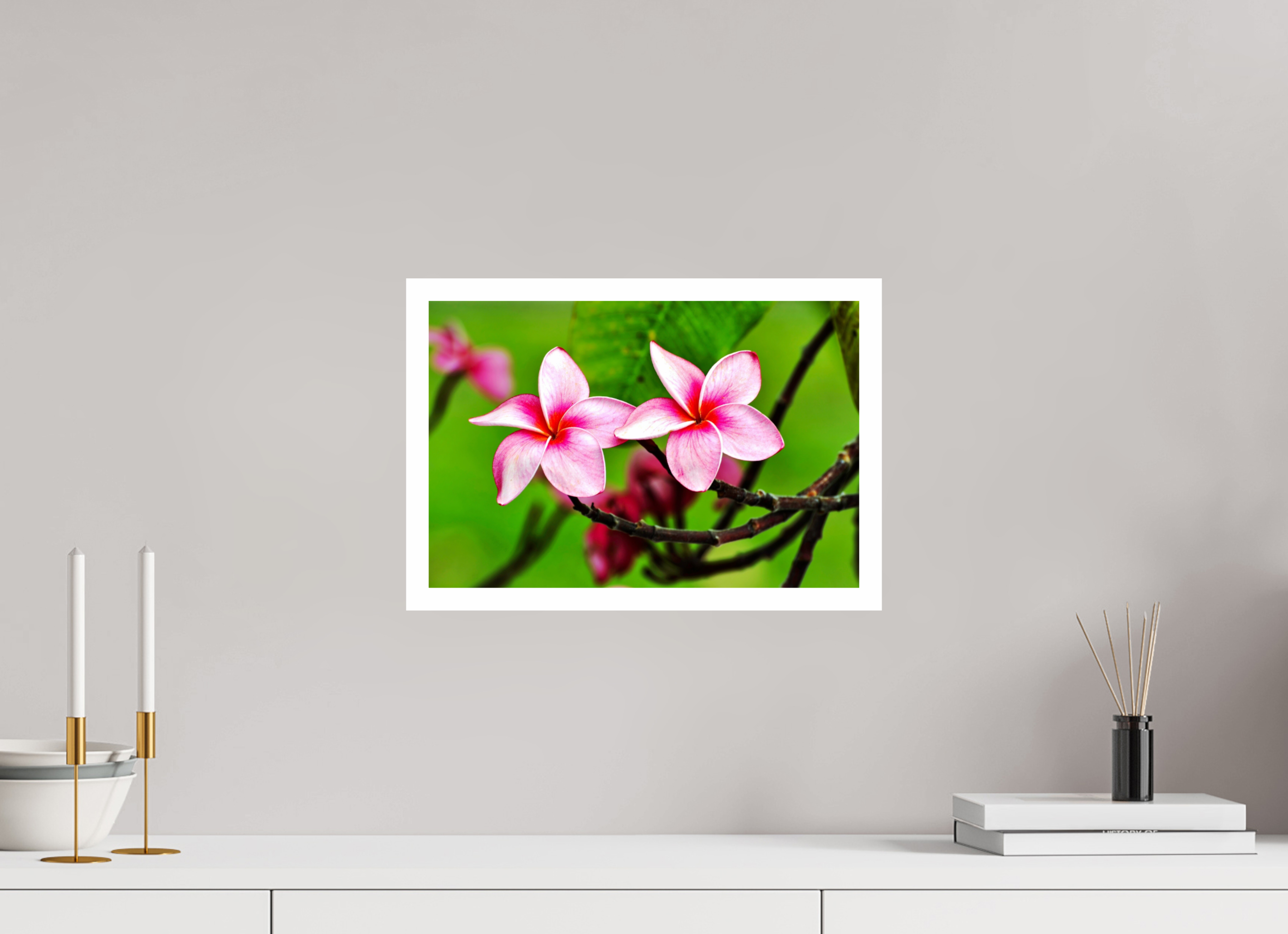 15 x 10″, Hahnemühle FineArt Pearl Print, .79" white border Pink Plumeria Rubra (Frangipani)