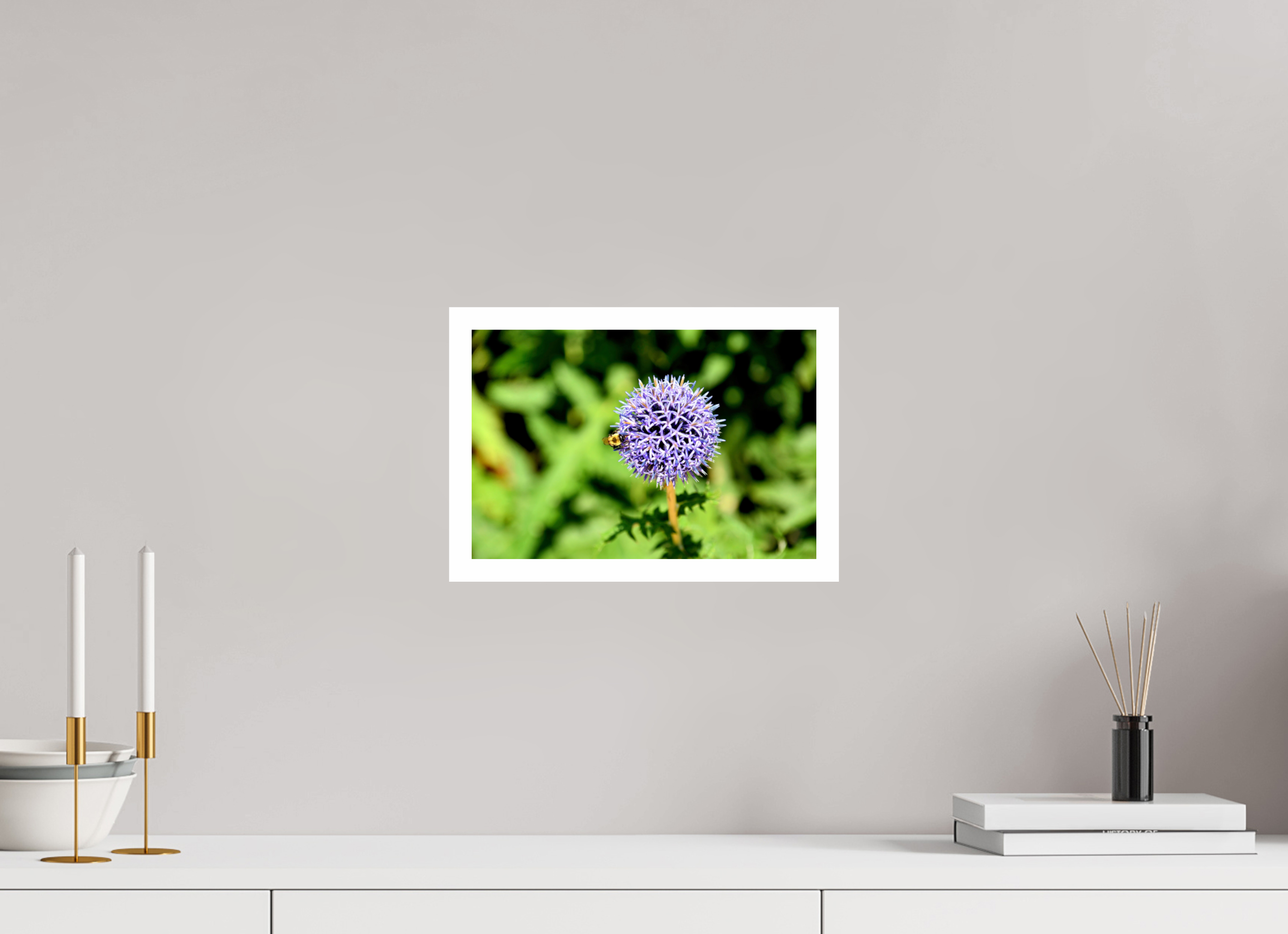 12 x 8″, Hahnemühle FineArt Pearl Print, .79" white border The Bee & The Globe Thistle (Echinops)