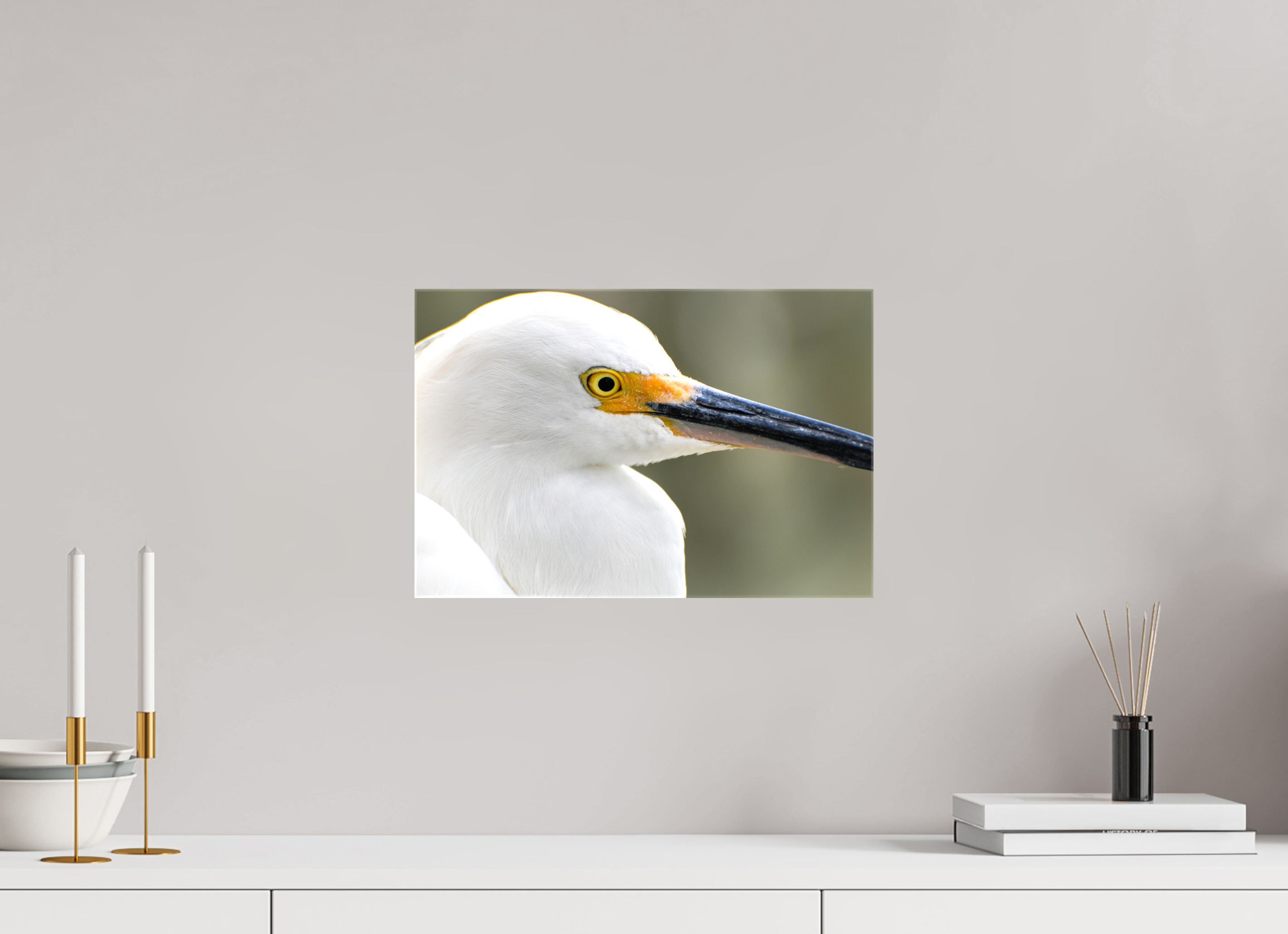15 x 10″, Glossy Canvas on Stretcher Frame, 1,57" Wrapped The White Plume: Snowy Egret Portrait