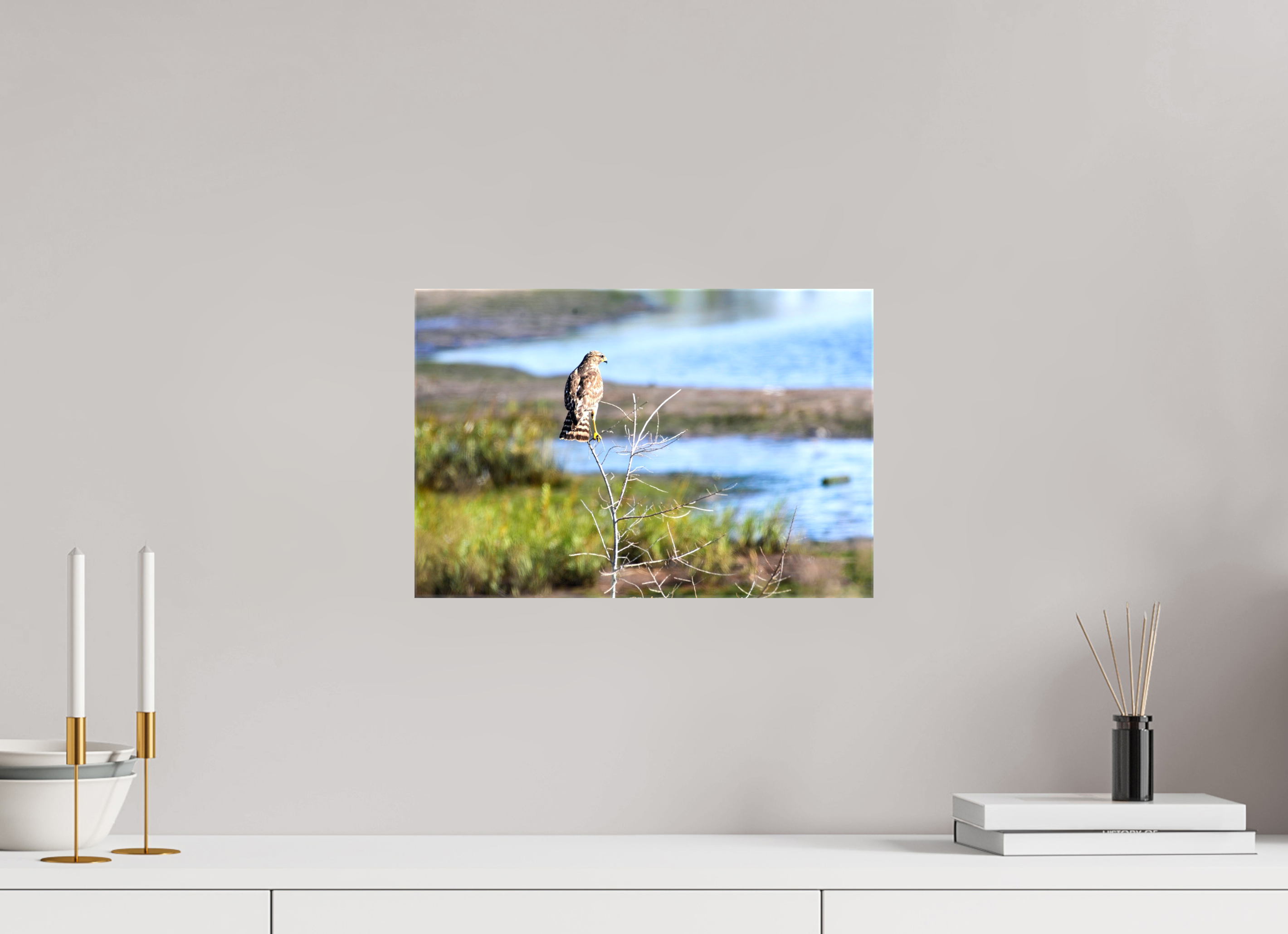 15 x 10″, Glossy Canvas on Stretcher Frame, 1,57" Wrapped Guardian of the Marsh