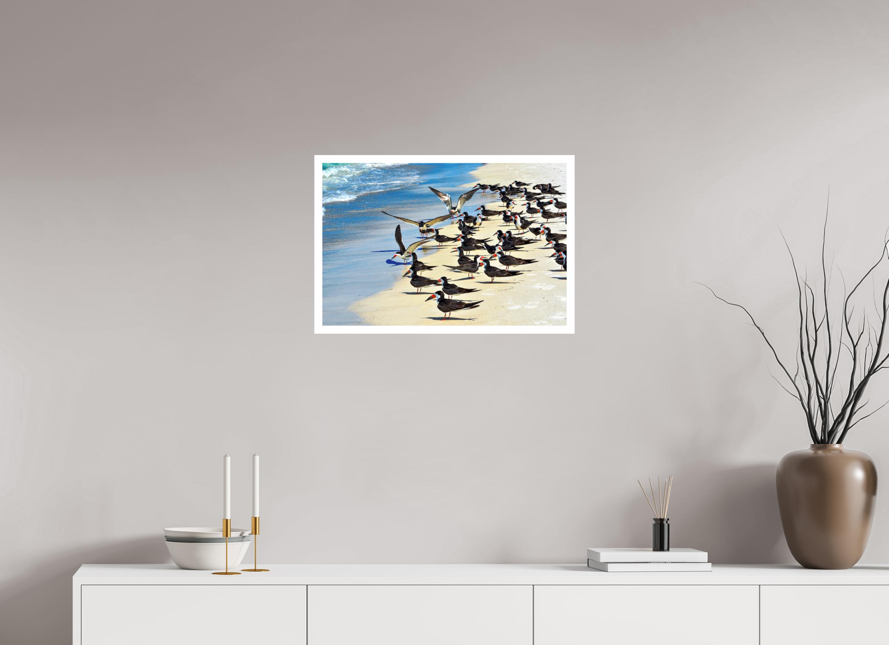 24 x 16″, Hahnemühle FineArt Pearl Print, .79" white border Shoreline Social: Black Skimmer Colony