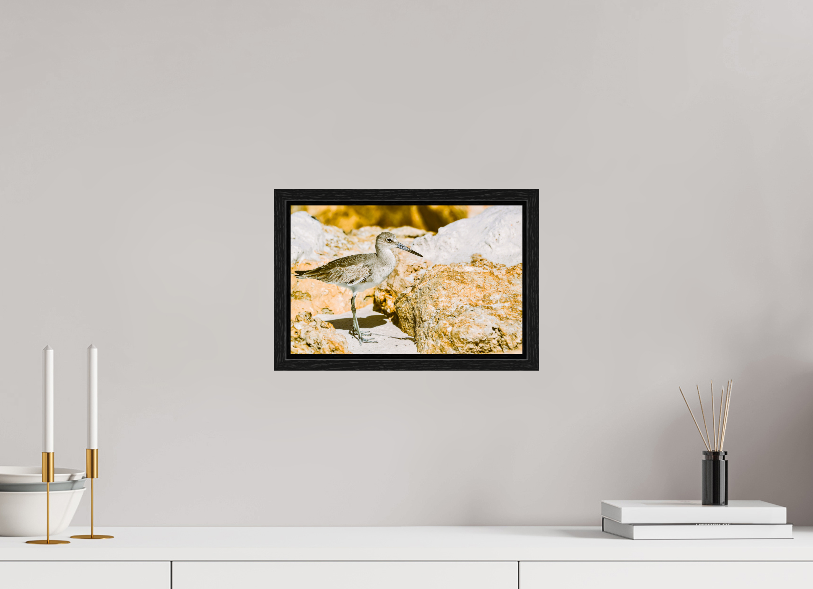 12.4 x 8″, Floater Frame The Sunny Willet