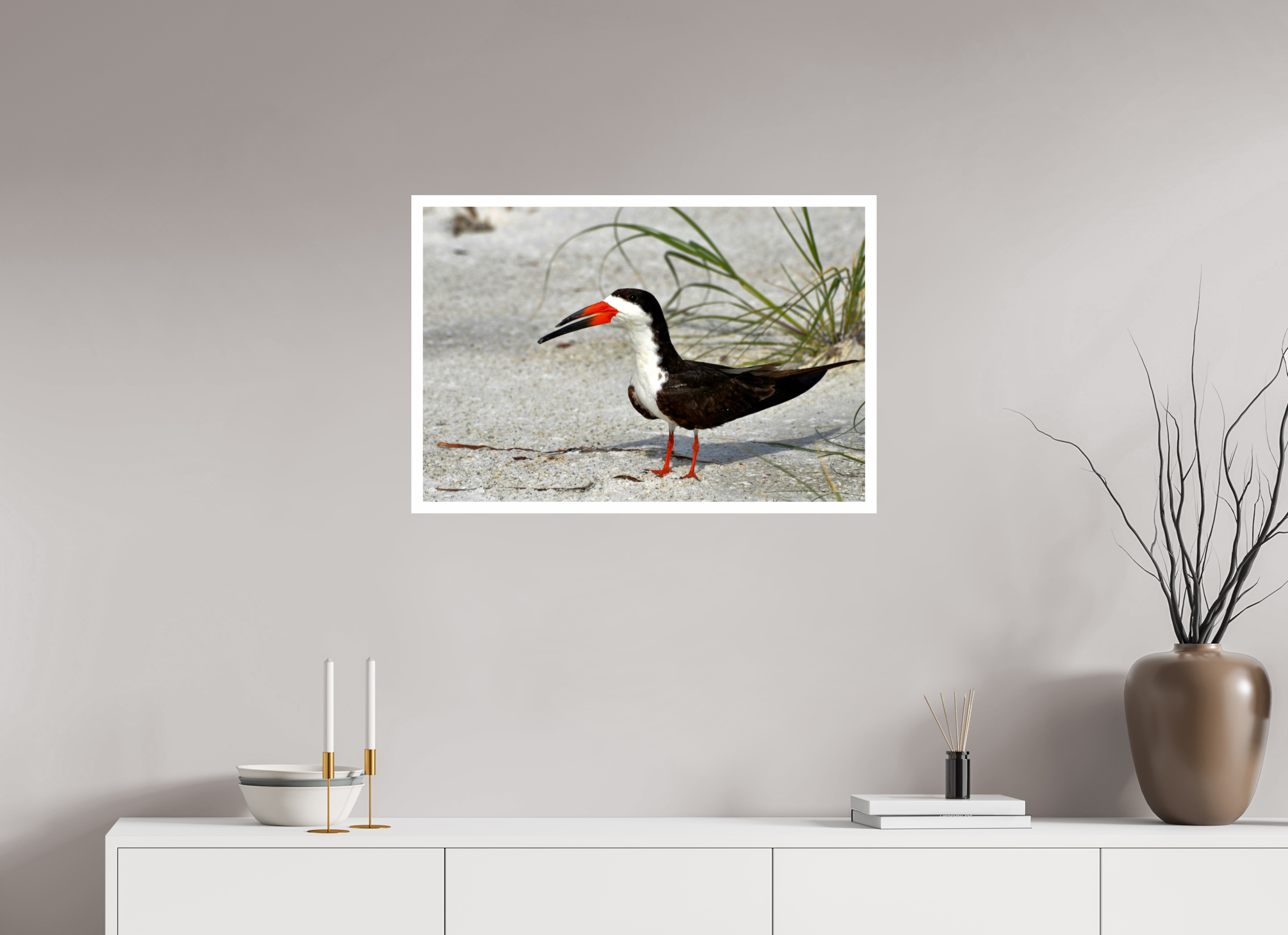 30 x 20″, Hahnemühle FineArt Pearl Print, .79" white border Sand & Black Skimmer