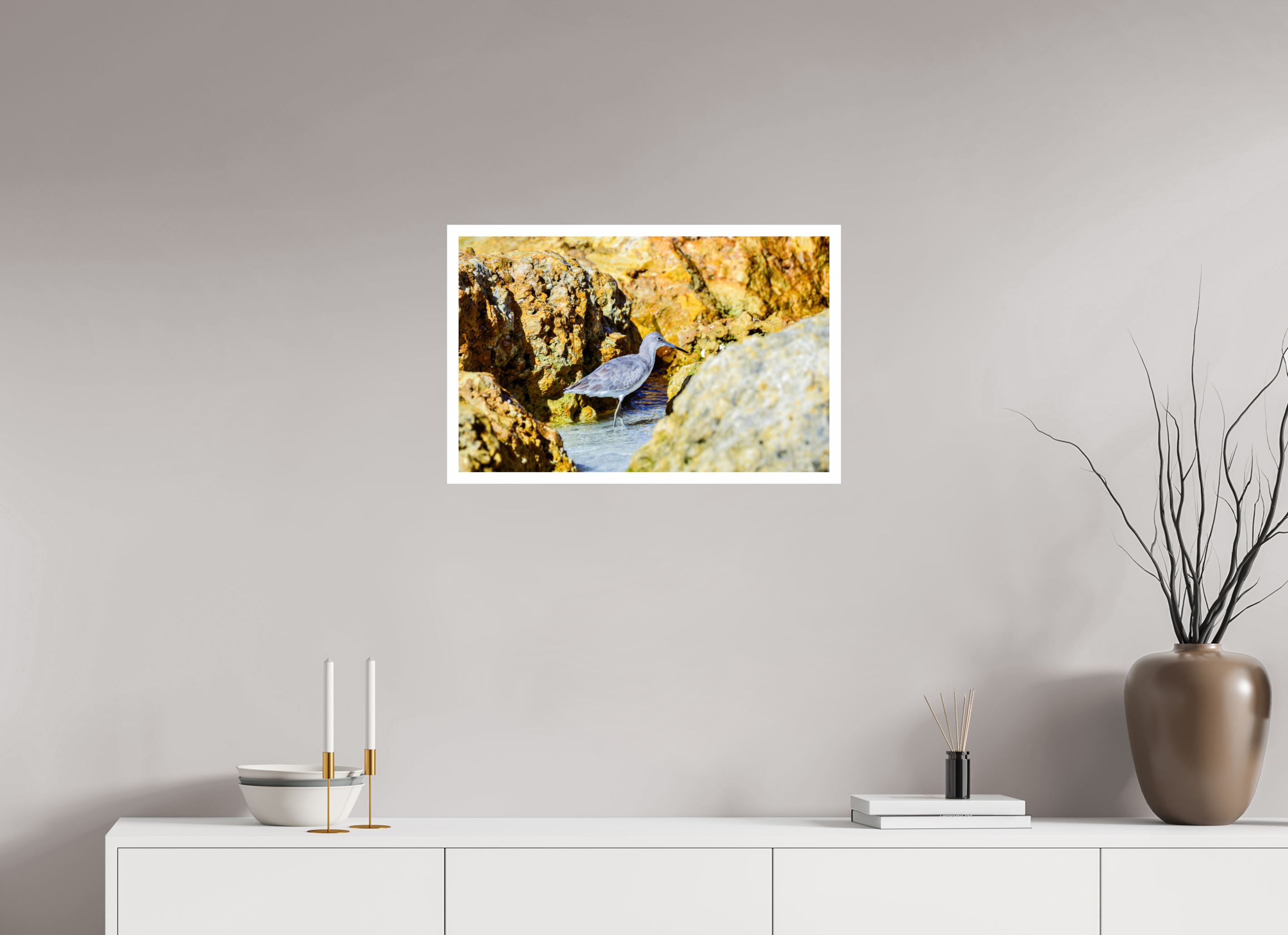 25.2 x 16″, Hahnemühle FineArt Pearl Print, .79" white border The Hiding Willet