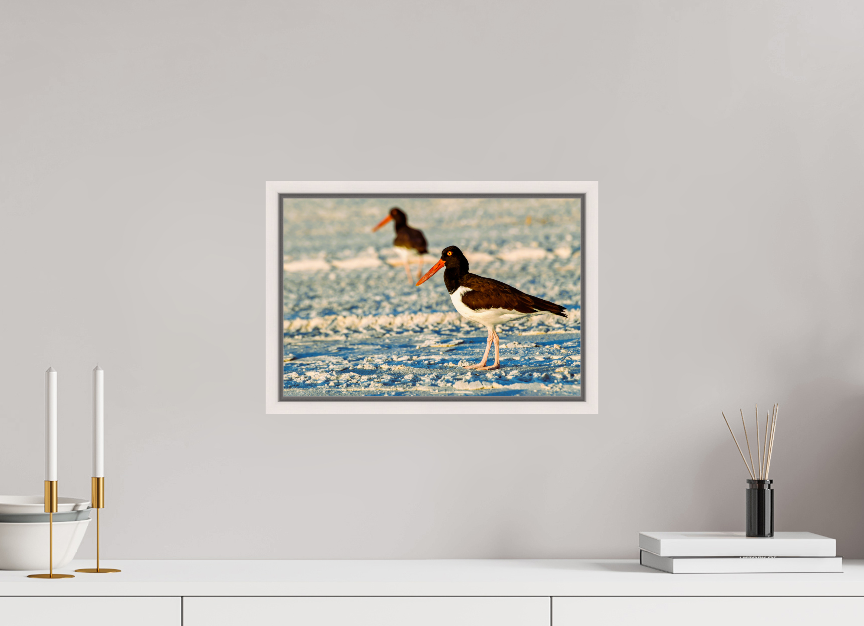 15 x 10″, Floater Frame, Basel 0.6", Maple White, Glossy Acrylic Glass Oystercatcher Stroll