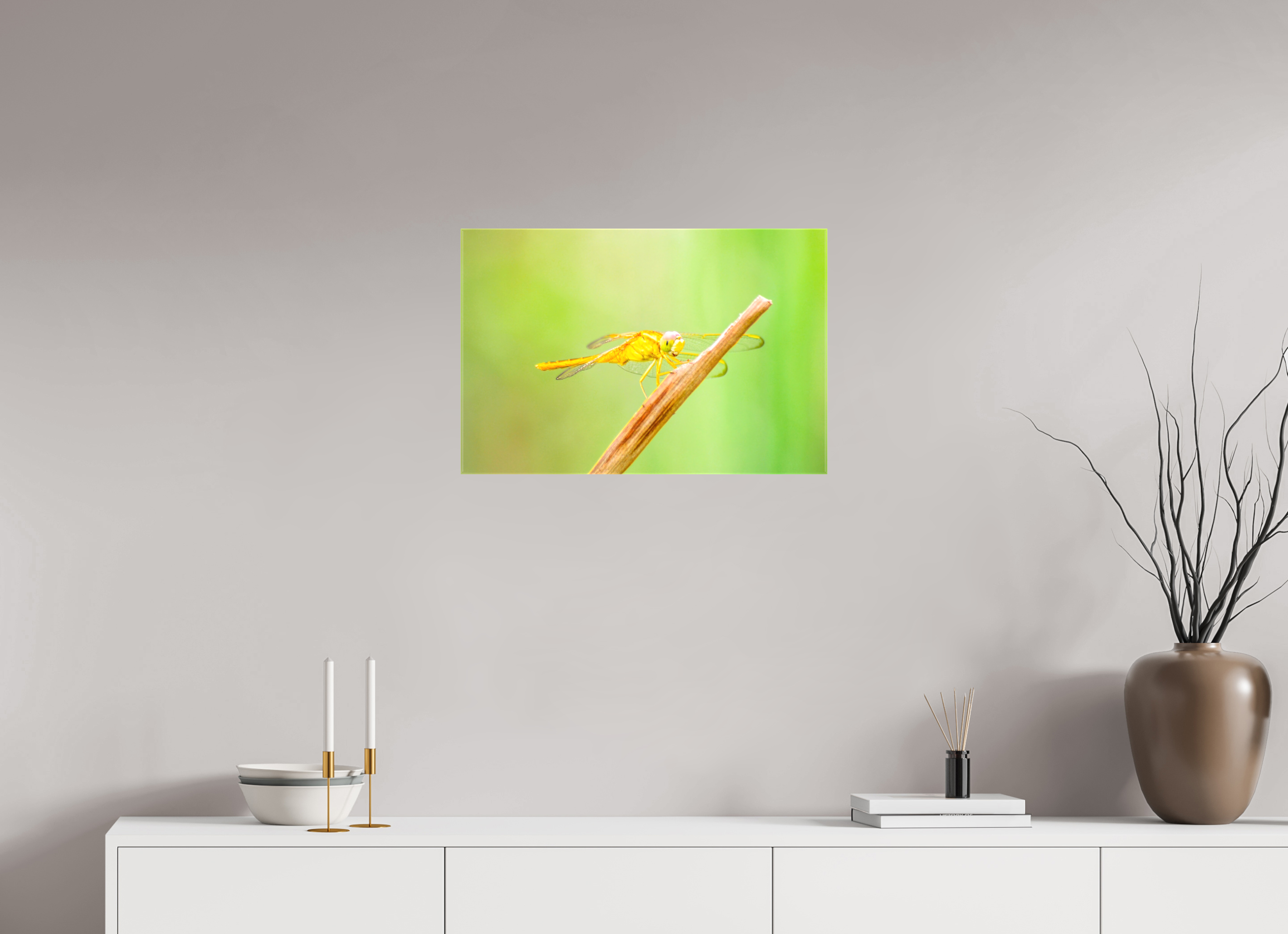 24 x 16″, Glossy Canvas on Stretcher Frame, 1,57" Wrapped Sun-Drenched Golden Scarlet Skimmer