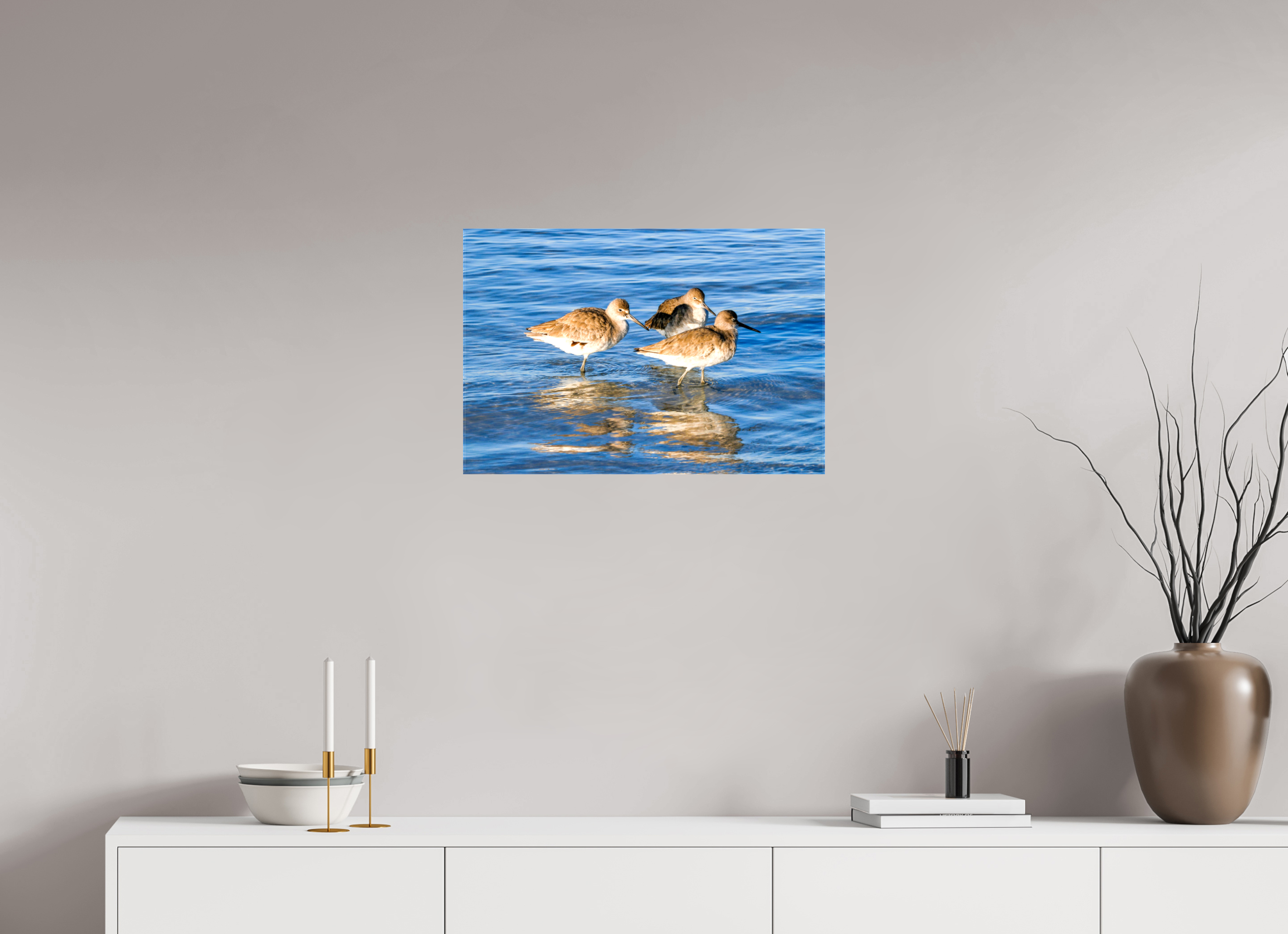 23.7 x 16″, Glossy Canvas on Stretcher Frame, 1,57" Wrapped The Shoreline Trio: Willets in the Surf