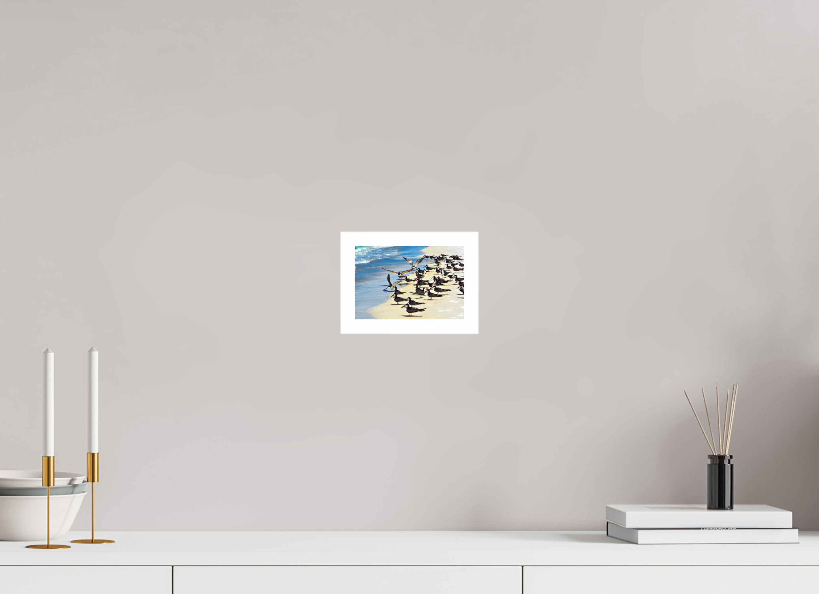 6 x 4″, Hahnemühle FineArt Pearl Print, .79" white border Shoreline Social: Black Skimmer Colony