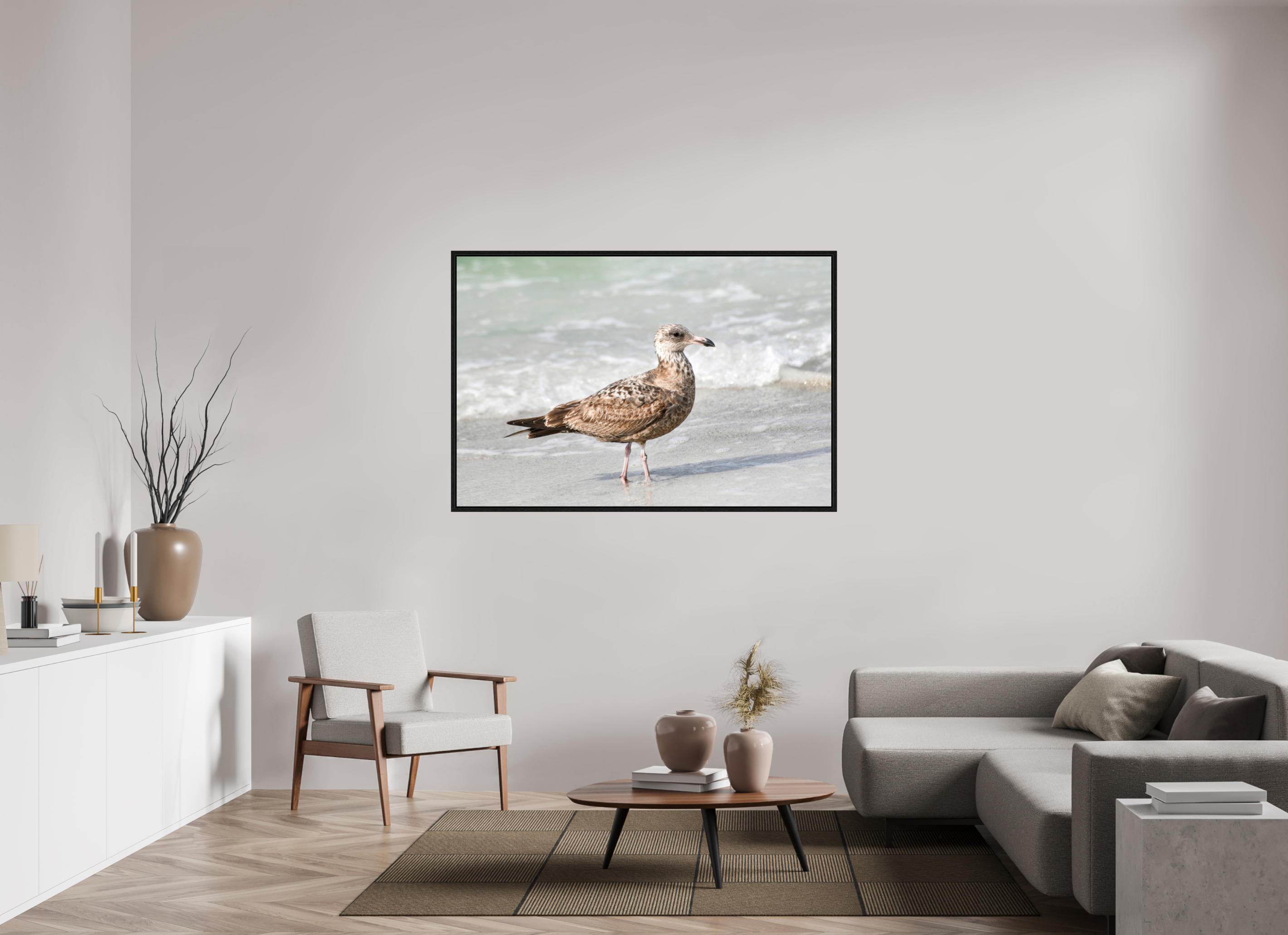 60 x 40″, Floater Frame, Basel 0.6", Black Oak, Glossy Acrylic Glass The Young Explorer: Immature American Herring Gull