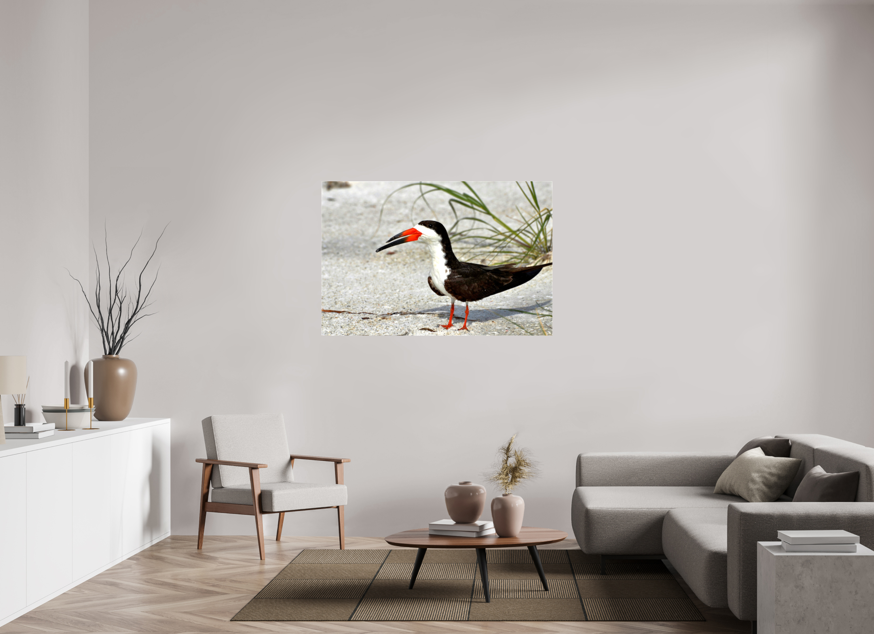 54 x 36″, Glossy Canvas on Stretcher Frame, 1,57" Wrapped Sand & Black Skimmer