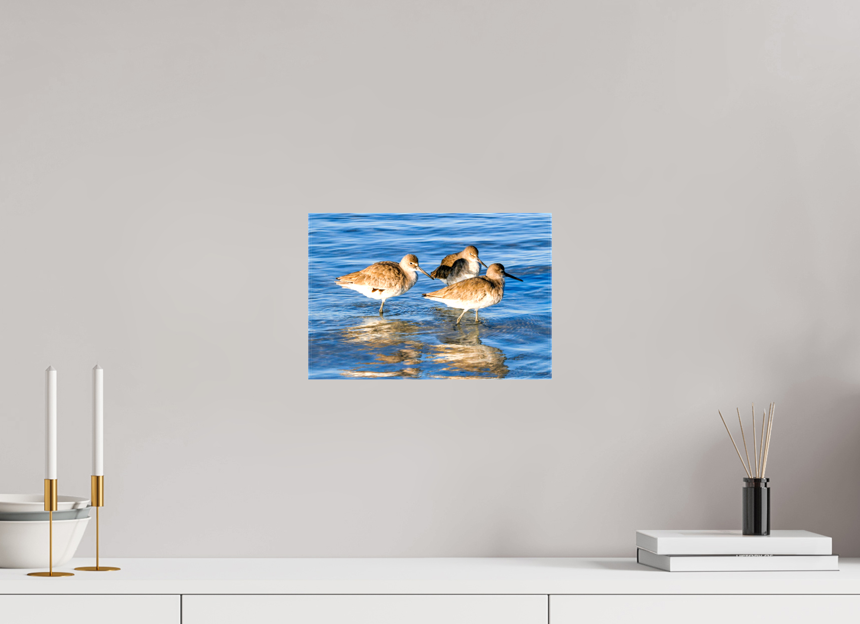 11.9 x 8″, Glossy Canvas on Stretcher Frame, 1,57" Wrapped The Shoreline Trio: Willets in the Surf