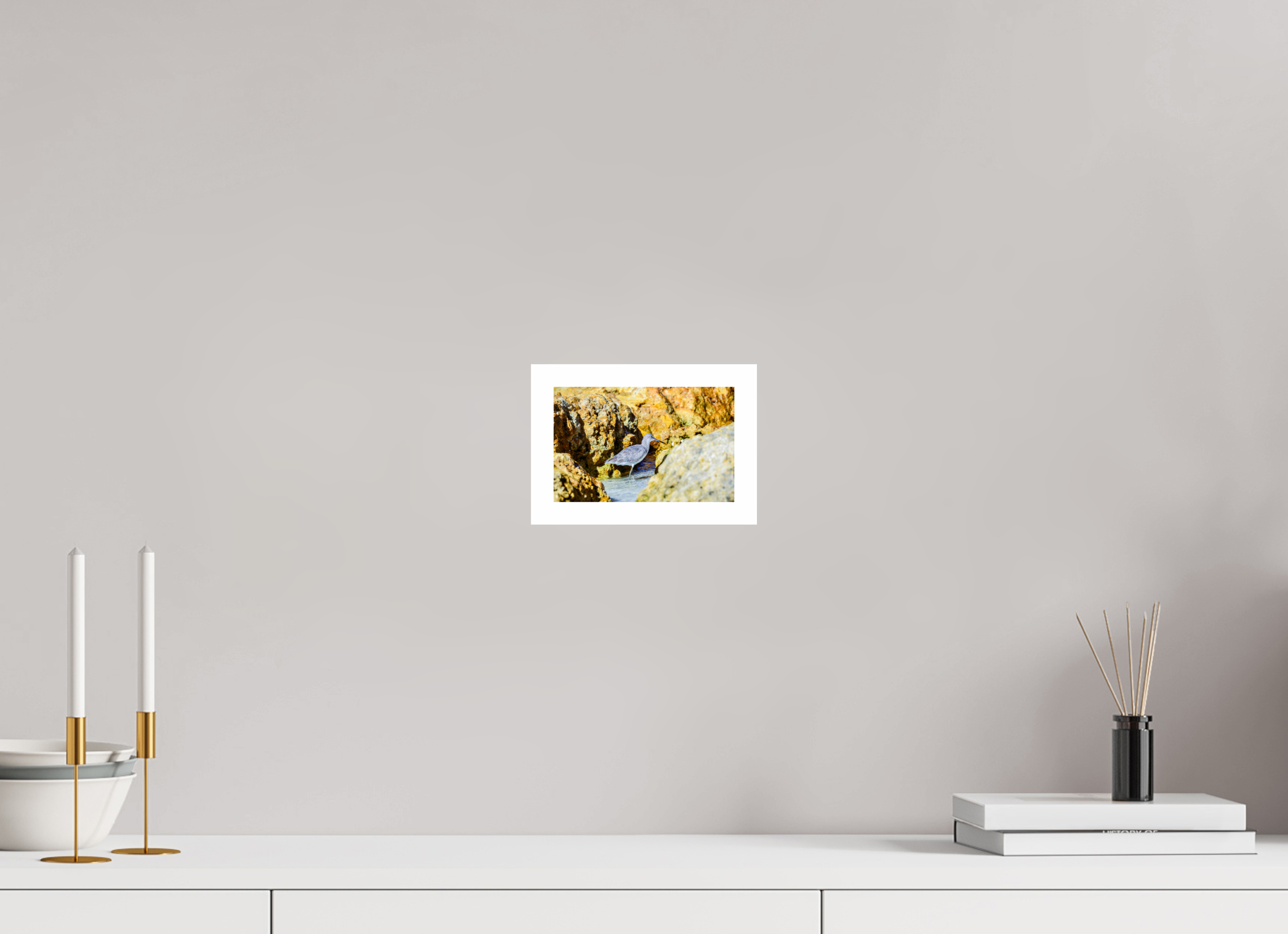 6.3 x 4″, Hahnemühle FineArt Pearl Print, .79" white border The Hiding Willet
