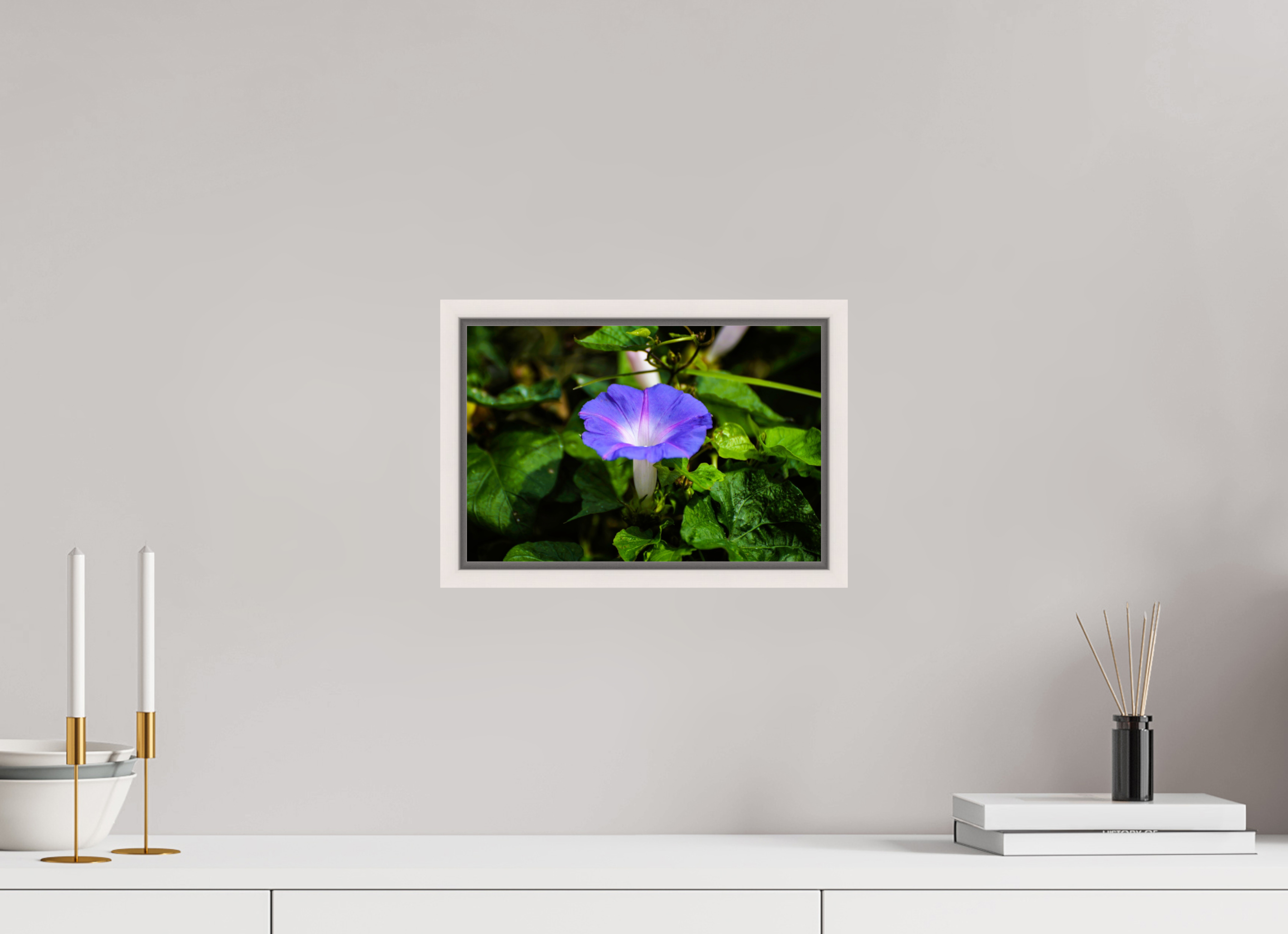 12 x 8″, Floater Frame, Basel 0.6", Maple White, Glossy Acrylic Glass Heavenly Blue Morning Glory