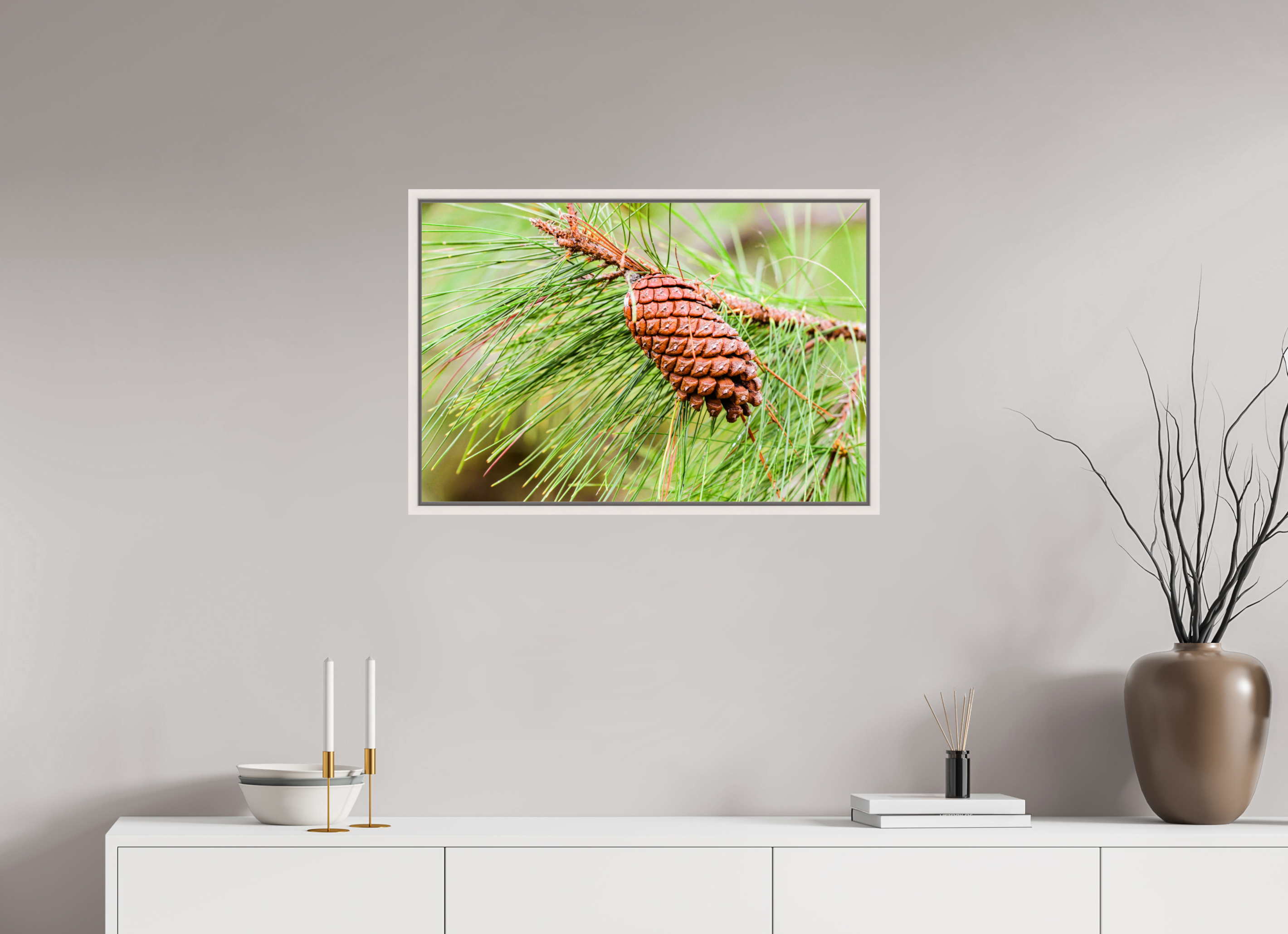 29.7 x 20″, Floater Frame, Basel 0.6", Maple White, Glossy Acrylic Glass The Longleaf Pine Cone