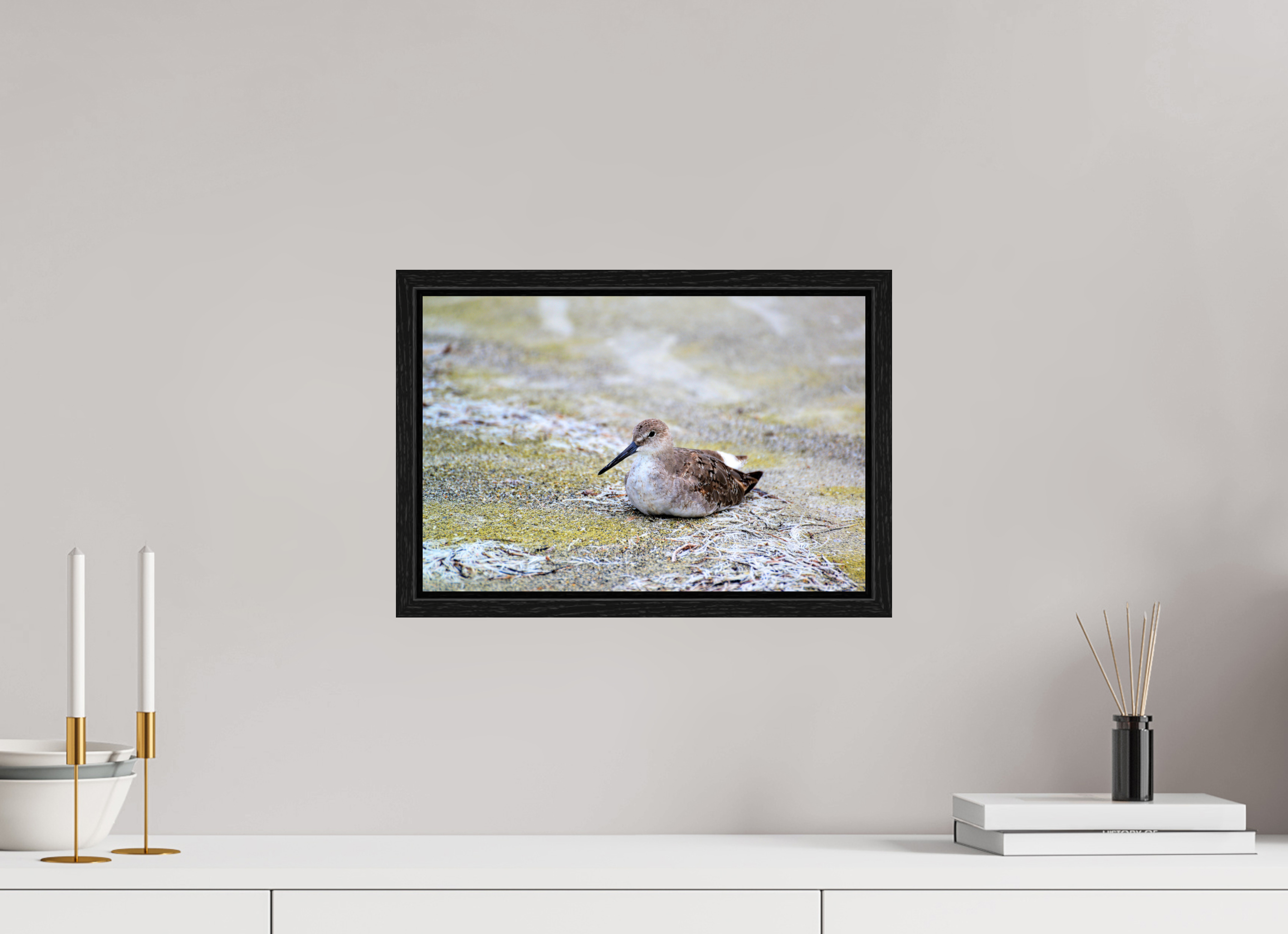 15 x 10″, Floater Frame, Basel 0.6", Black Oak, Glossy Acrylic Glass The Resting Willet