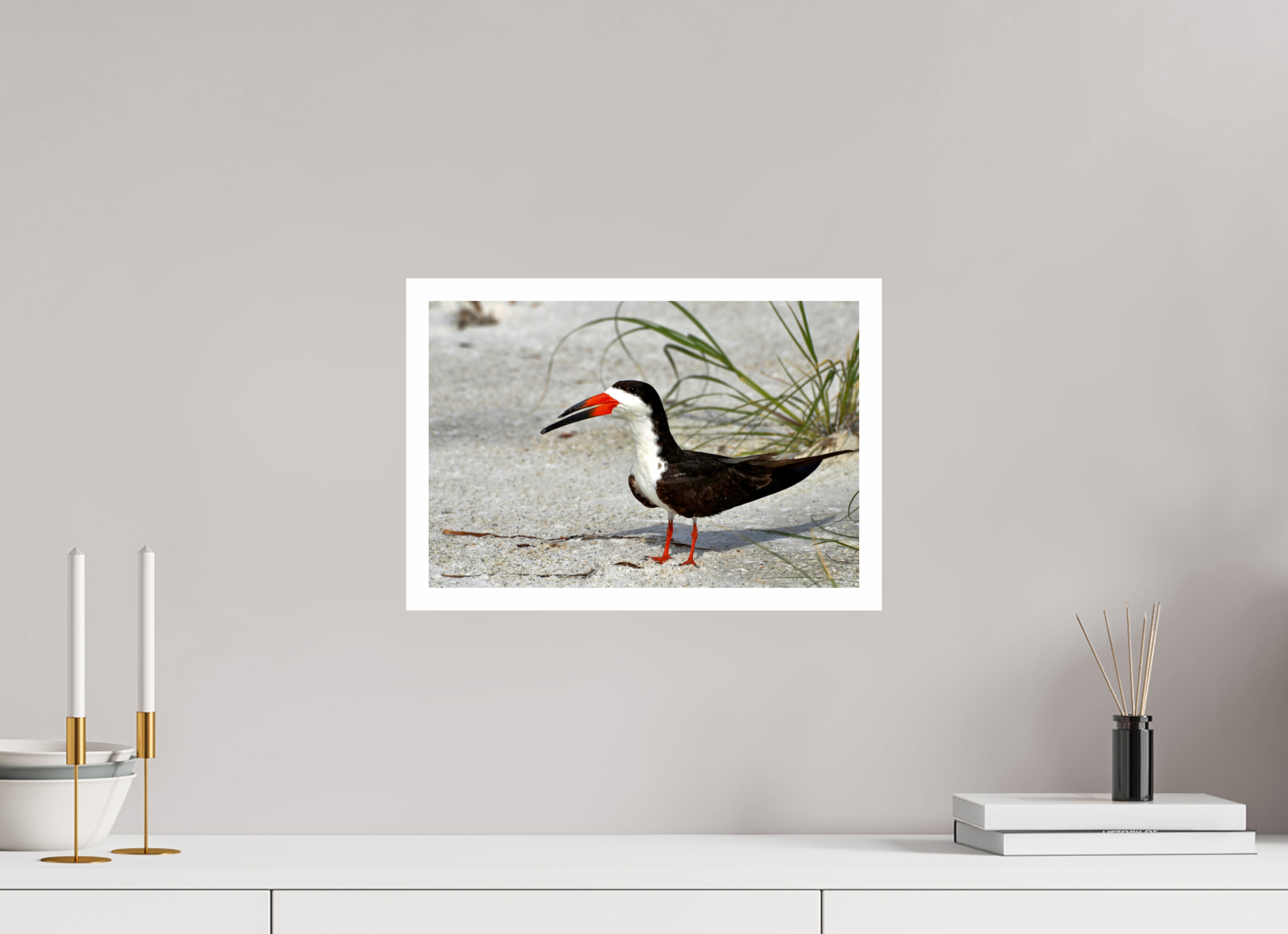 15 x 10″, Hahnemühle FineArt Pearl Print, .79" white border Sand & Black Skimmer
