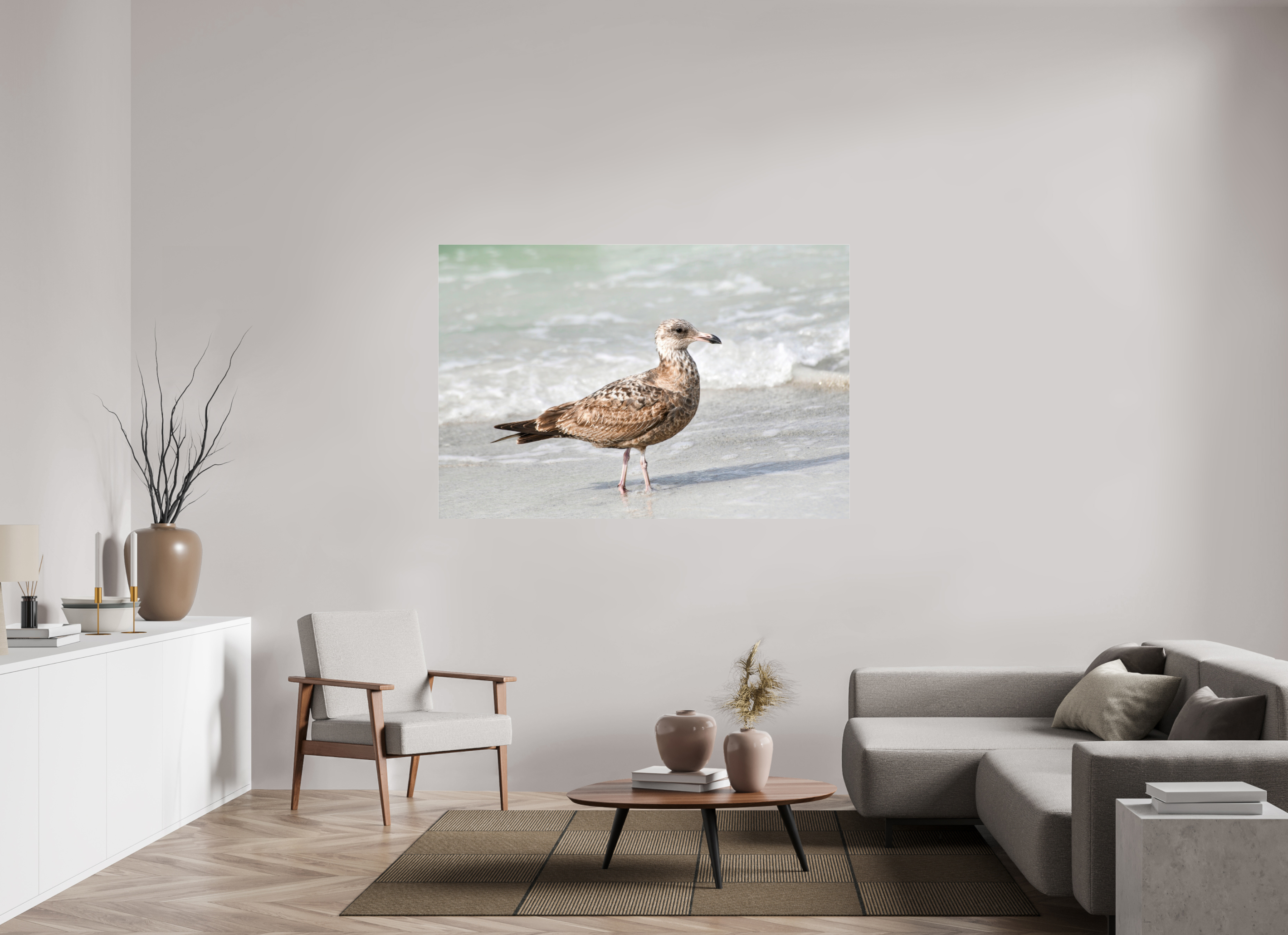 66 x 44″, Metallic Photo Print Under Acrylic Glass The Young Explorer: Immature American Herring Gull
