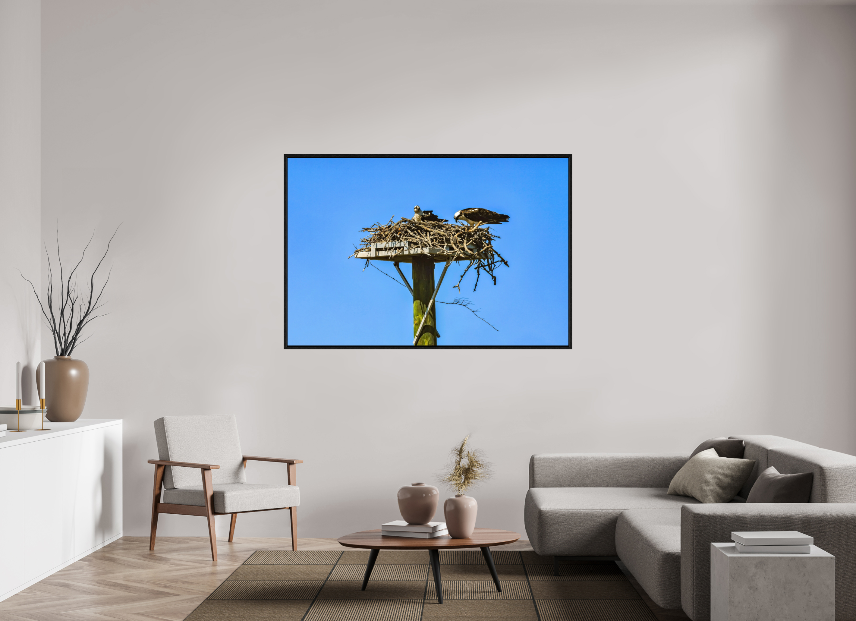 66 x 44″, Floater Frame, Basel 0.6", Black Oak, Glossy Acrylic Glass Osprey Outlook