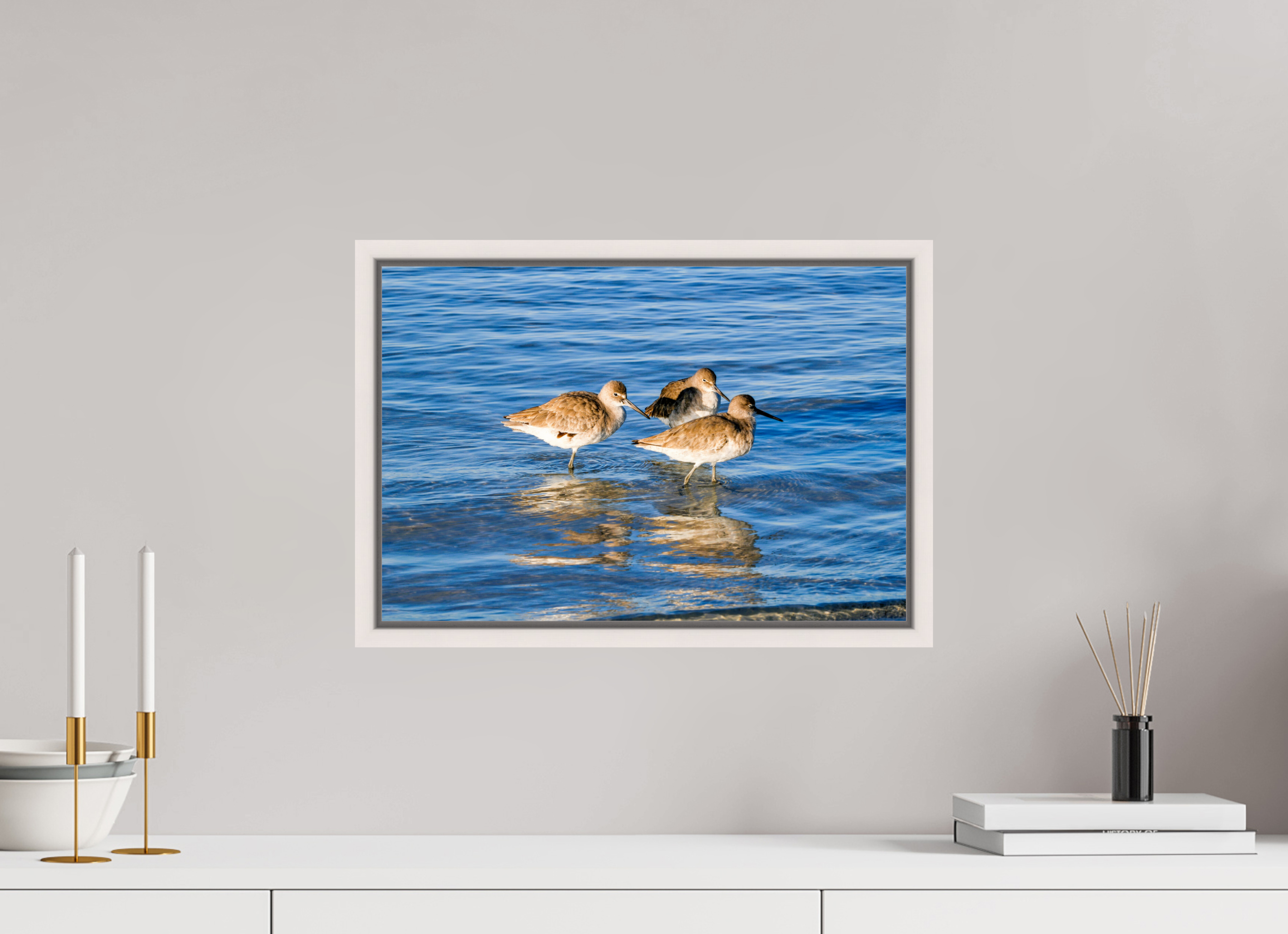 17.8 x 12″, Floater Frame, Basel 0.6", Maple White, Glossy Acrylic Glass The Shoreline Trio: Willets in the Surf