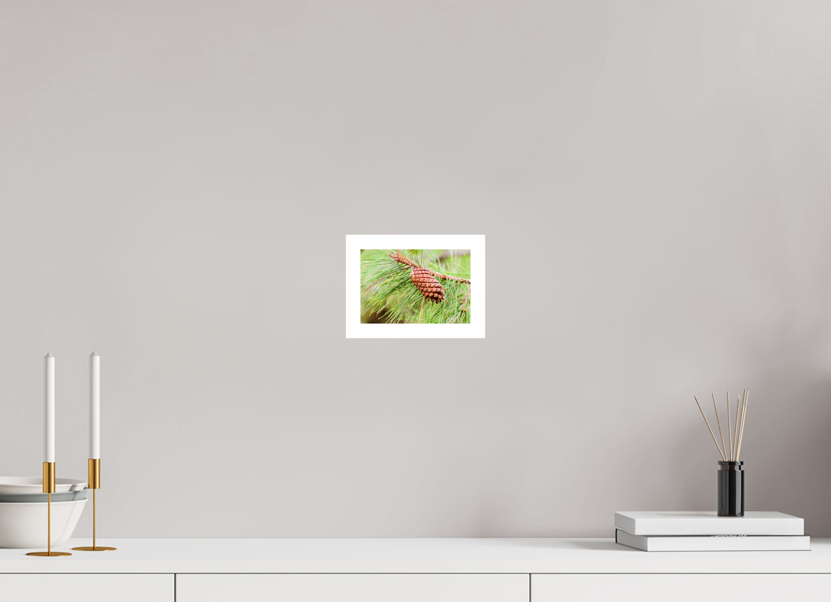 5.9 x 4″, Hahnemühle FineArt Pearl Print, .79" white border The Longleaf Pine Cone