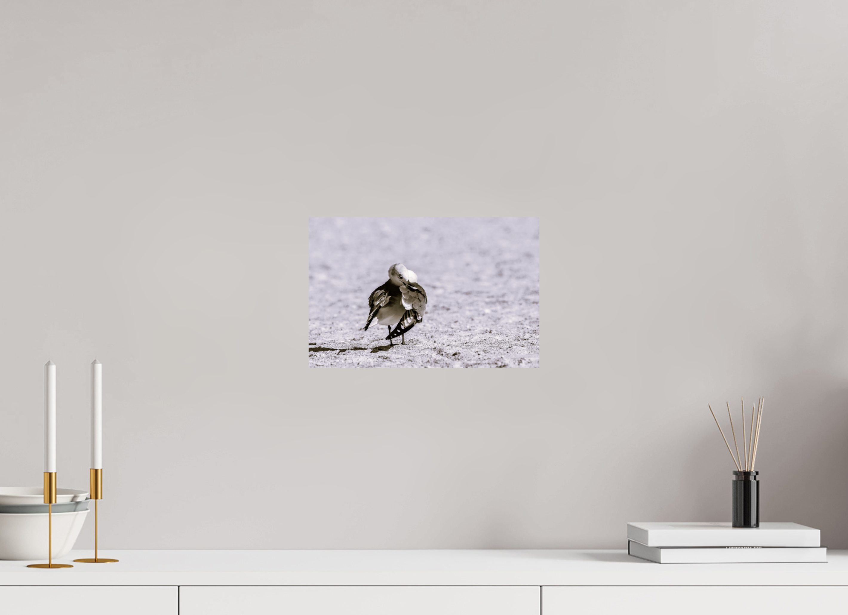 12.2 x 8″, Photo Print On Fuji Crystal DP II A Monochrome Gull Preening