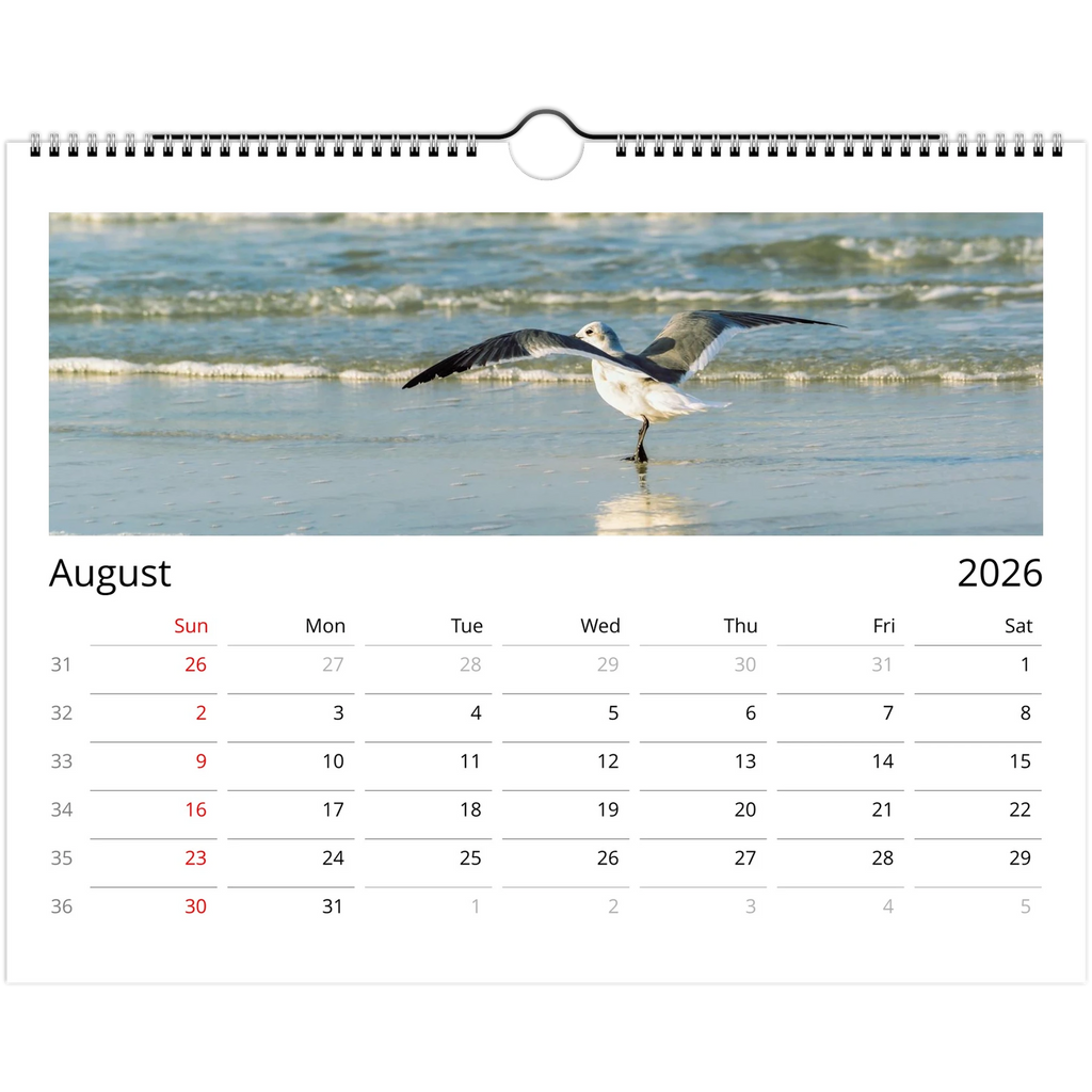 ea367667-e510-4d99-b482-22430649e405