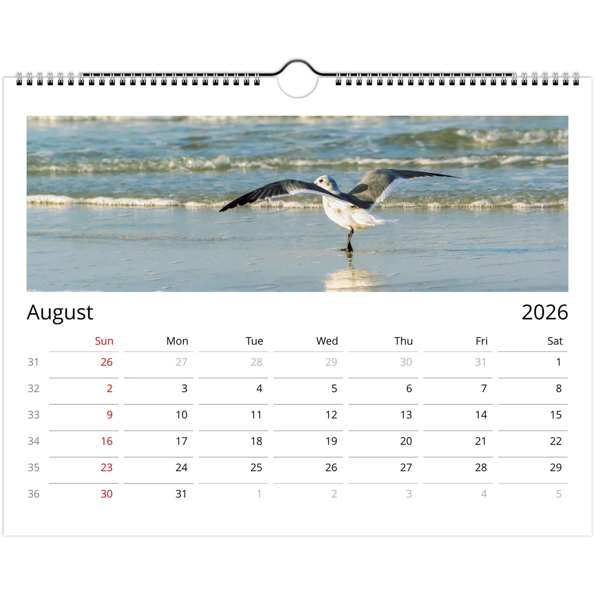 ea367667-e510-4d99-b482-22430649e405