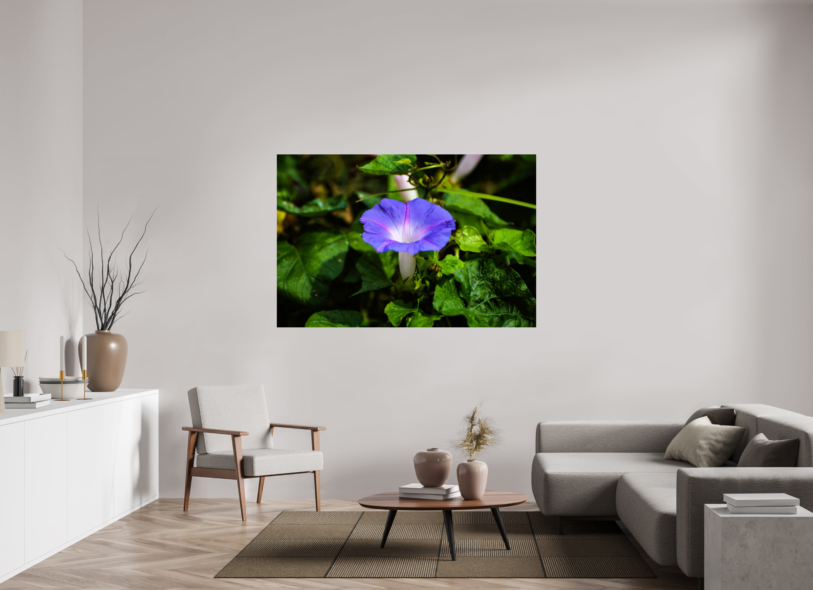 66 x 44″, Photo Print Fuji Crystal Archive Under Acrylic Glass Heavenly Blue Morning Glory