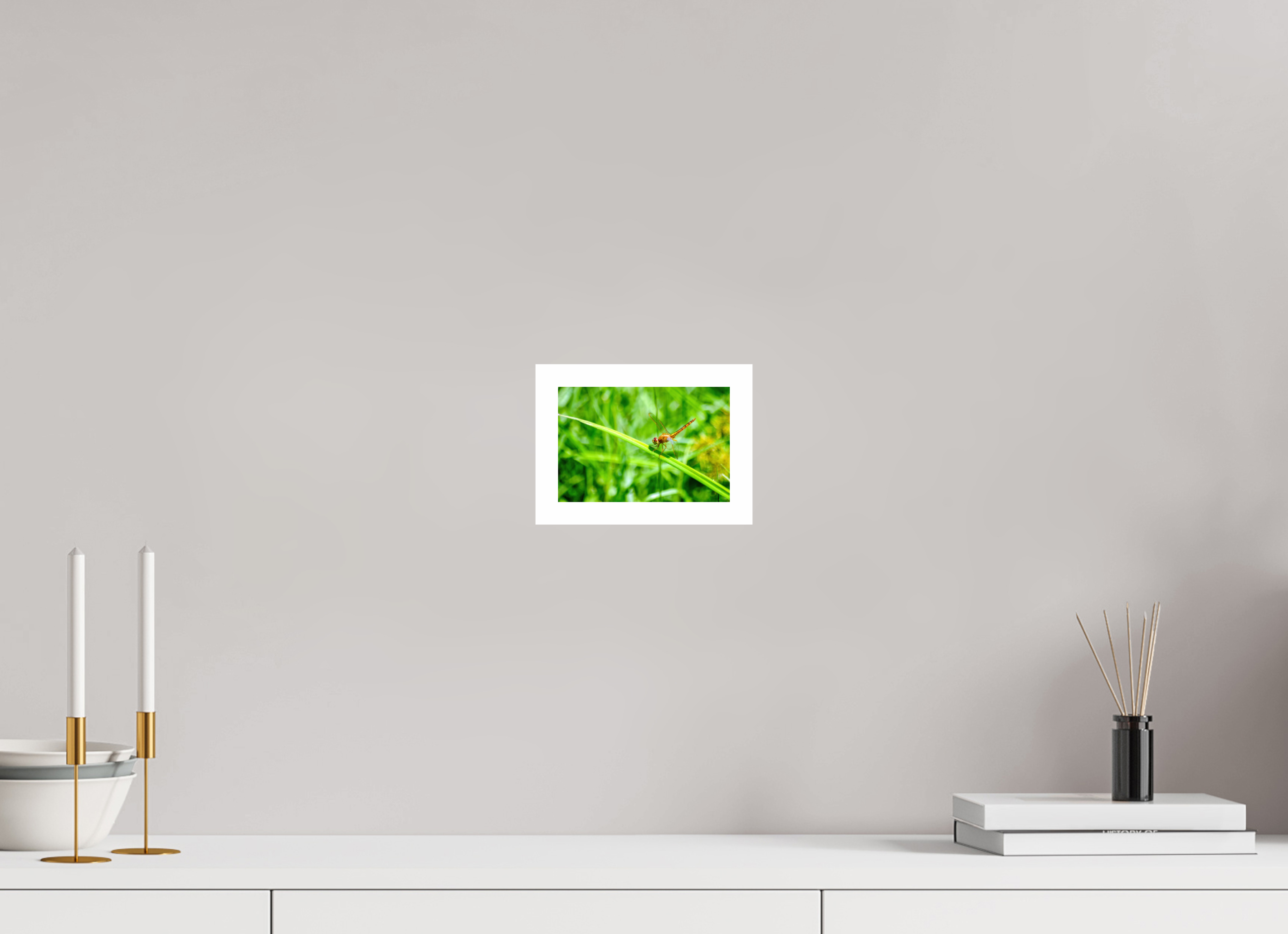 6 x 4″, Hahnemühle FineArt Pearl Print, .79" white border Female Scarlet Skimmer