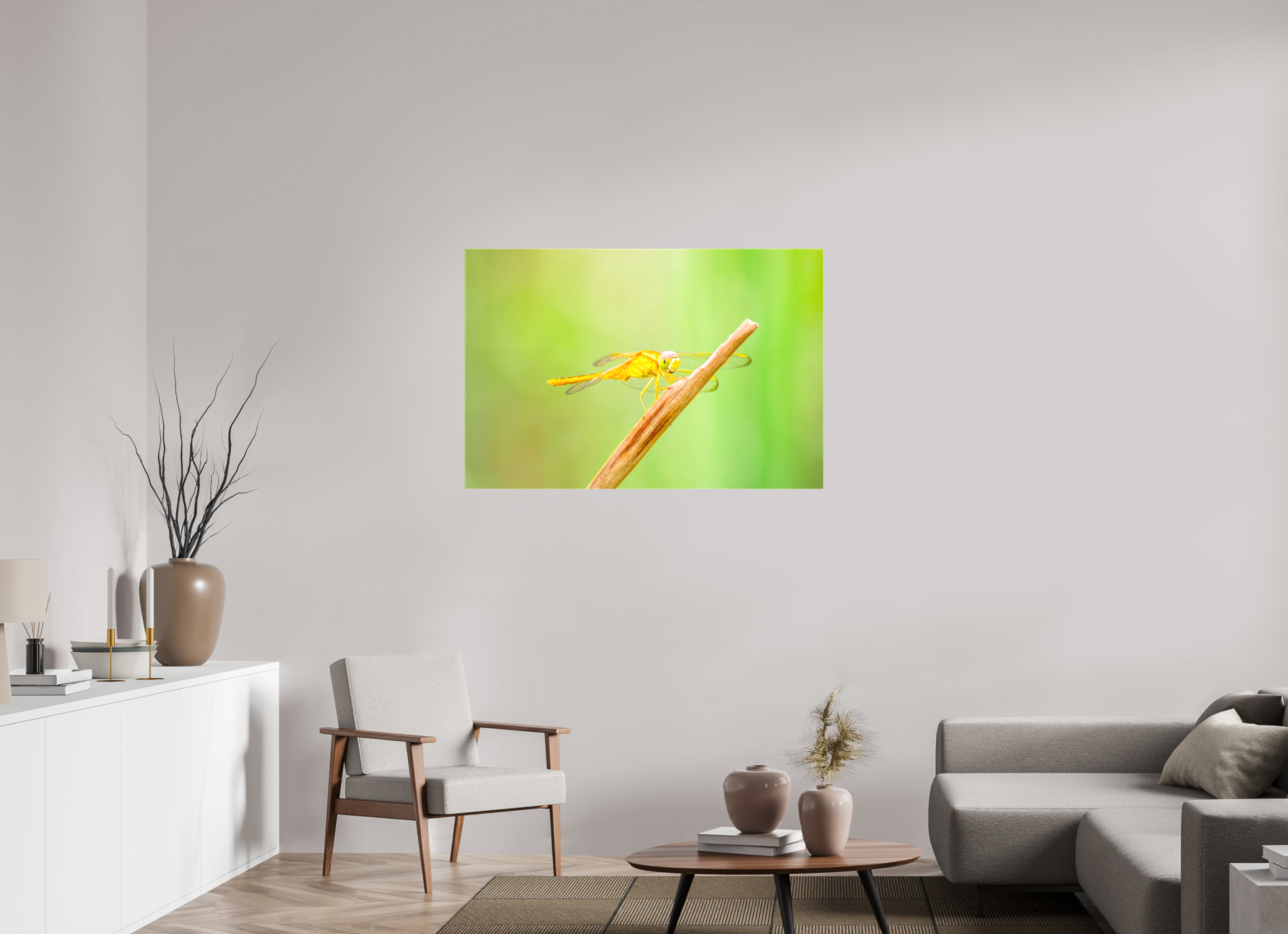 45 x 30″, Glossy Canvas on Stretcher Frame, 1,57" Wrapped Sun-Drenched Golden Scarlet Skimmer