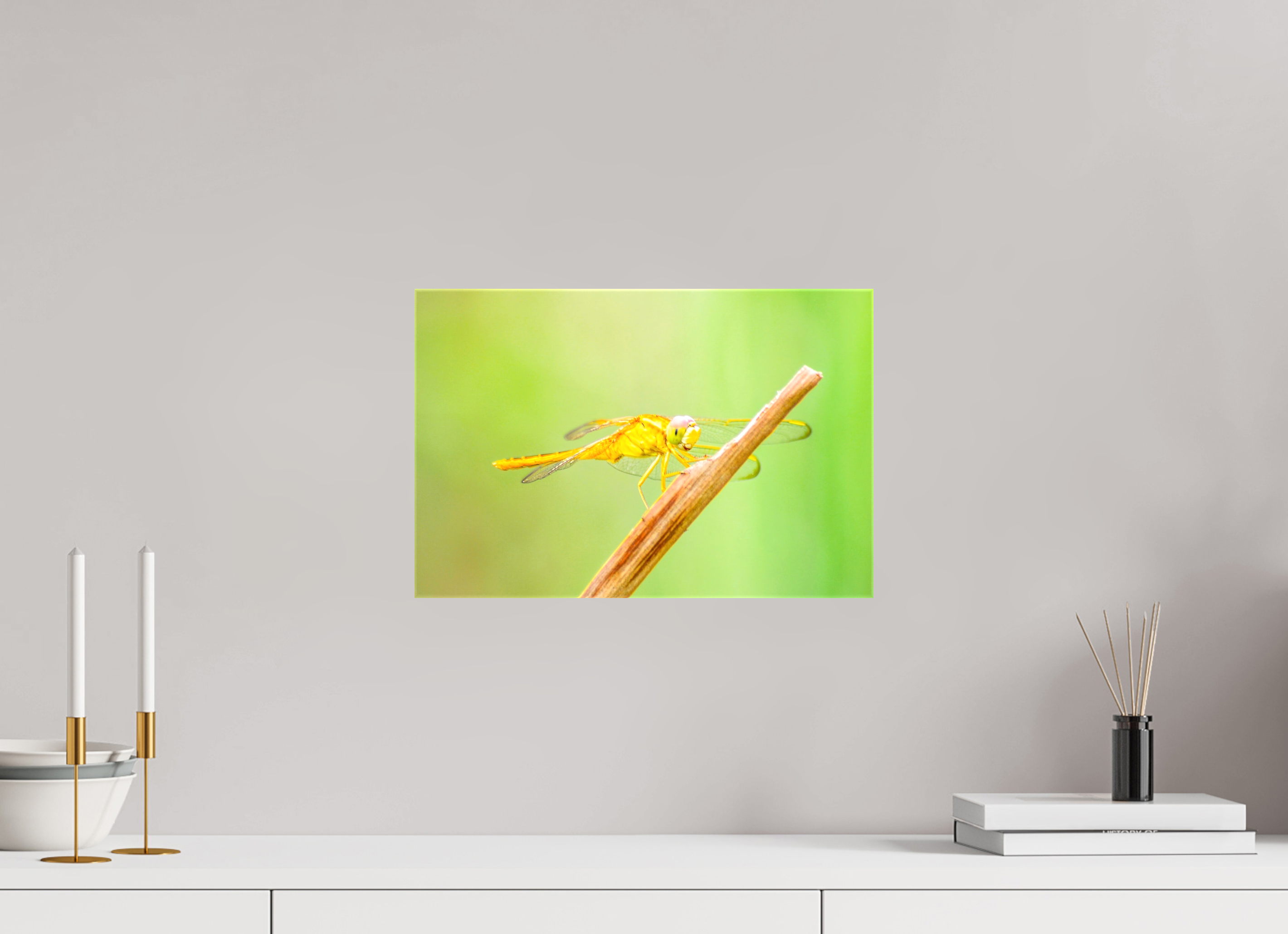 15 x 10″, Glossy Canvas on Stretcher Frame, 1,57" Wrapped Sun-Drenched Golden Scarlet Skimmer