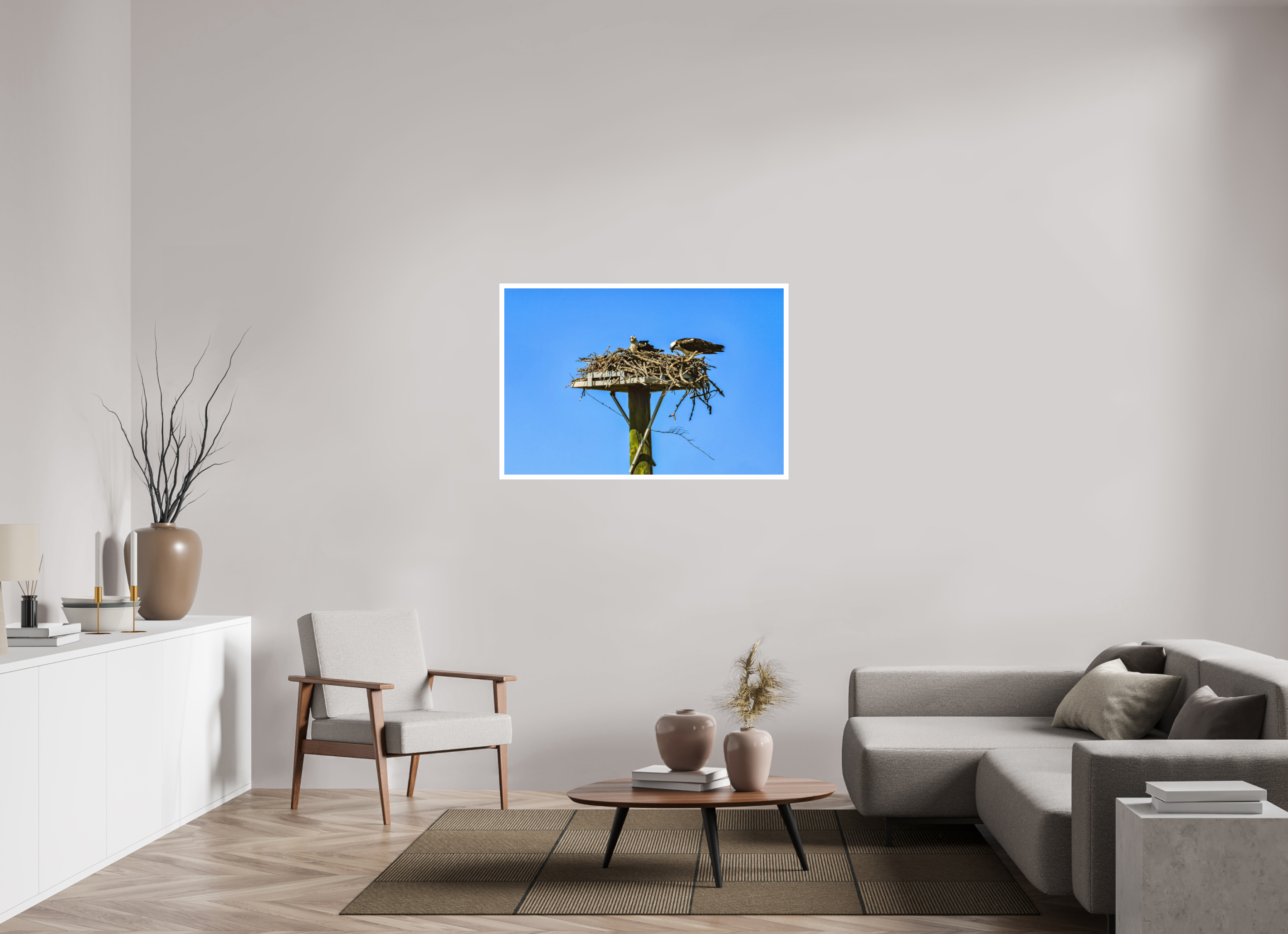 45 x 30″, Hahnemühle FineArt Pearl Print, .79" white border Osprey Outlook