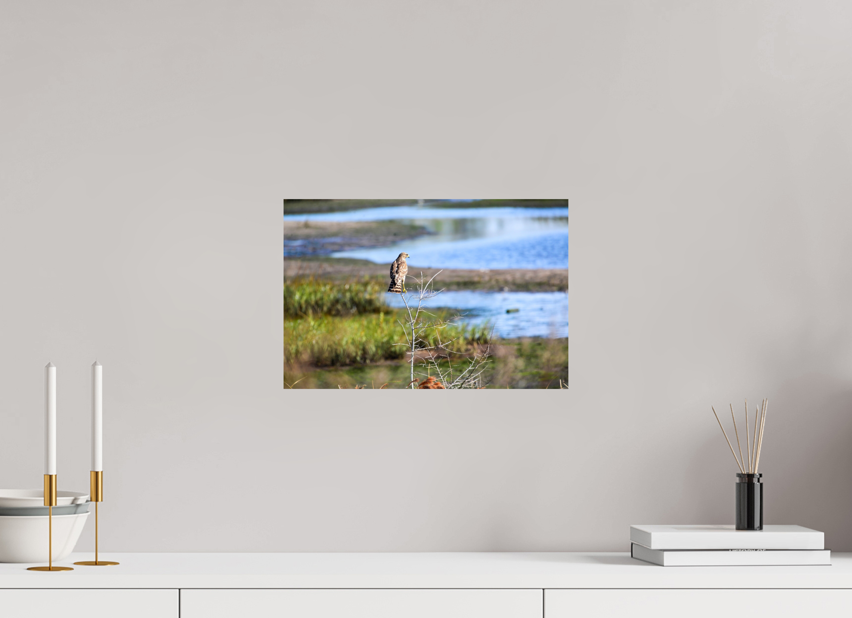 15 x 10″, Photo Print On Fuji Crystal DP II Guardian of the Marsh
