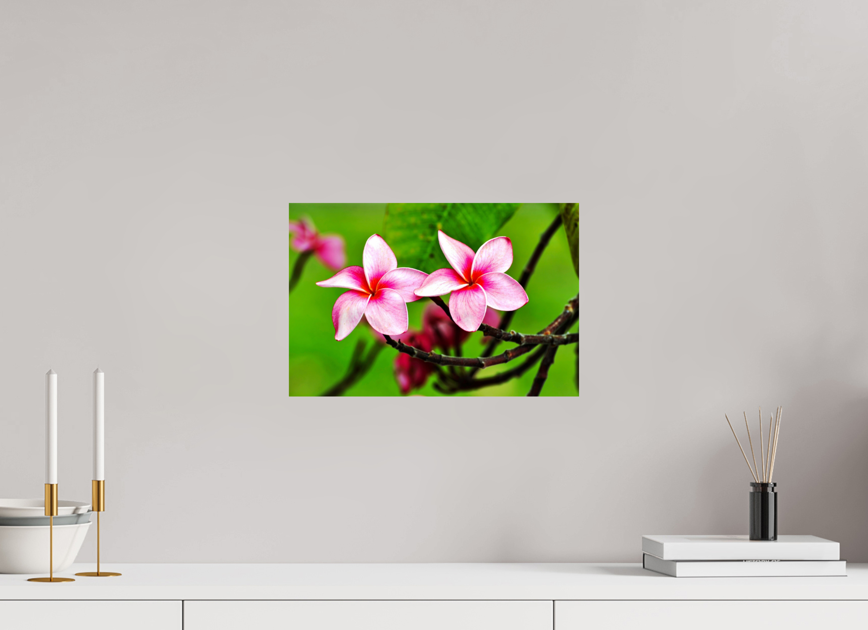 15 x 10″, Photo Print On Fuji Crystal DP II Pink Plumeria Rubra (Frangipani)