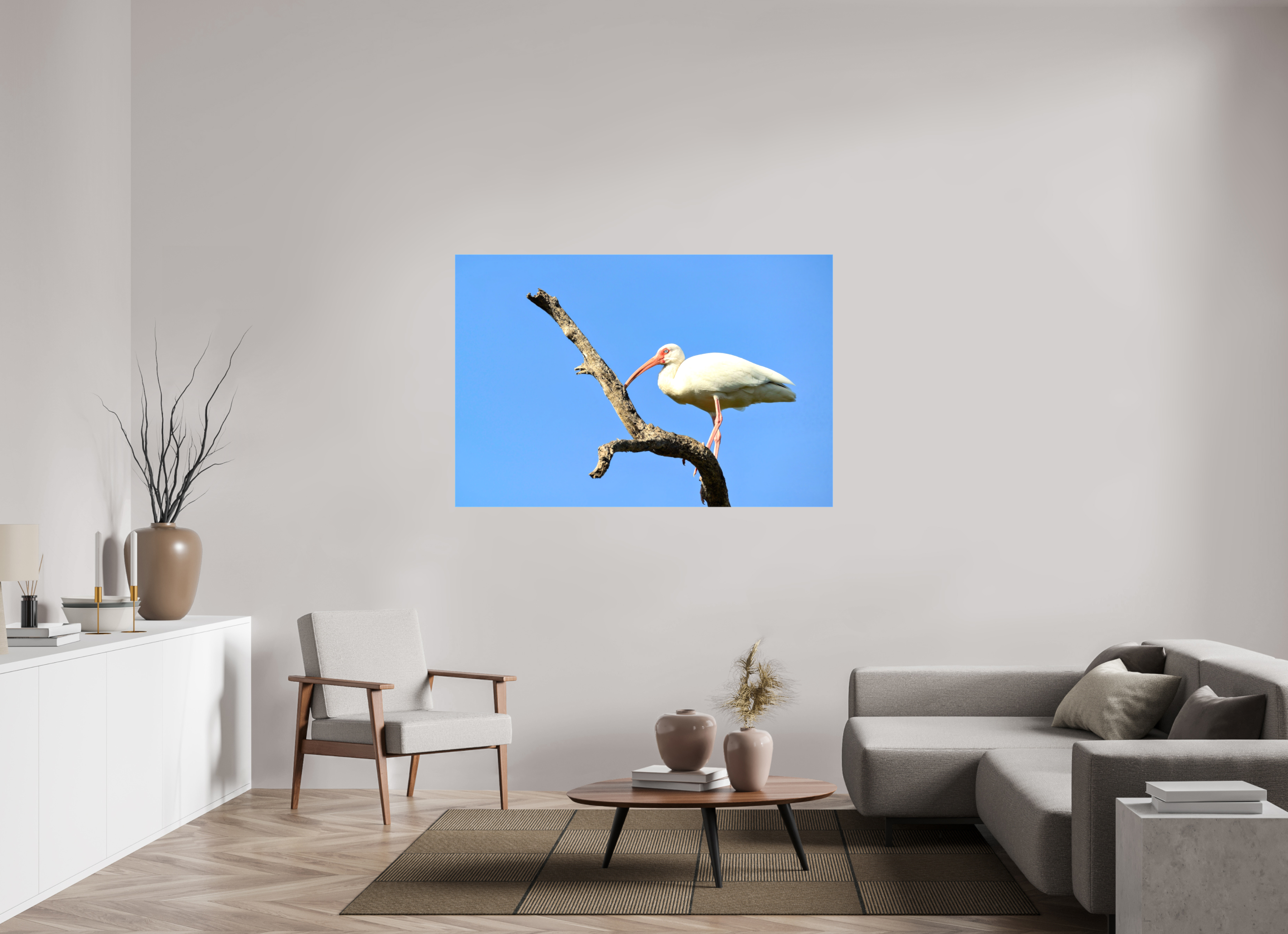 60 x 40″, Glossy Canvas on Stretcher Frame, 1,57" Wrapped Azure Solitude: The American White Ibis