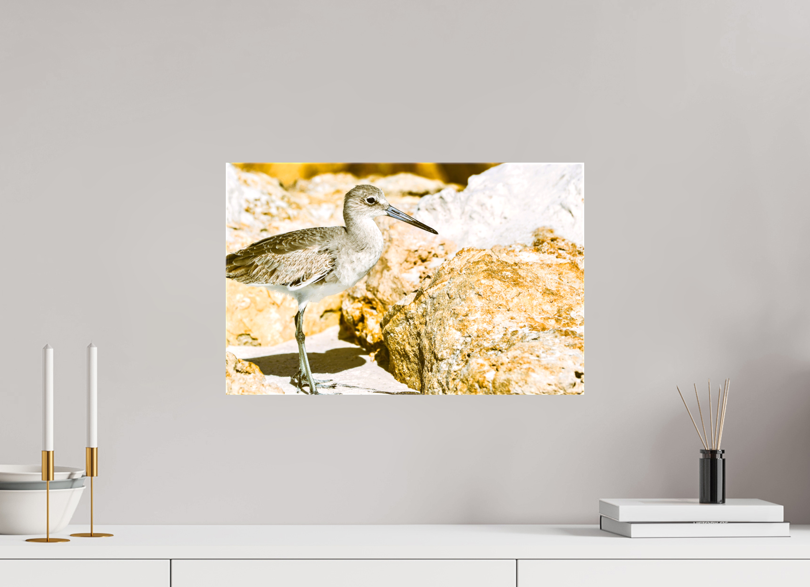 18.7 x 12″, Glossy Canvas on Stretcher Frame, 1,57" Wrapped The Sunny Willet