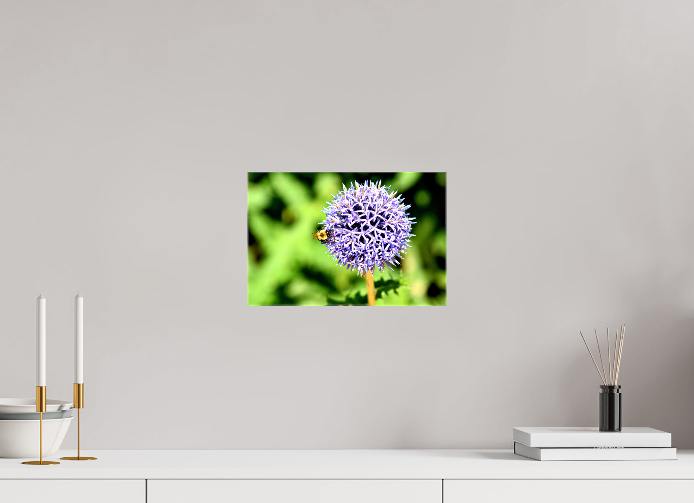 12 x 8″, Glossy Canvas on Stretcher Frame, 1,57" Wrapped The Bee & The Globe Thistle (Echinops)