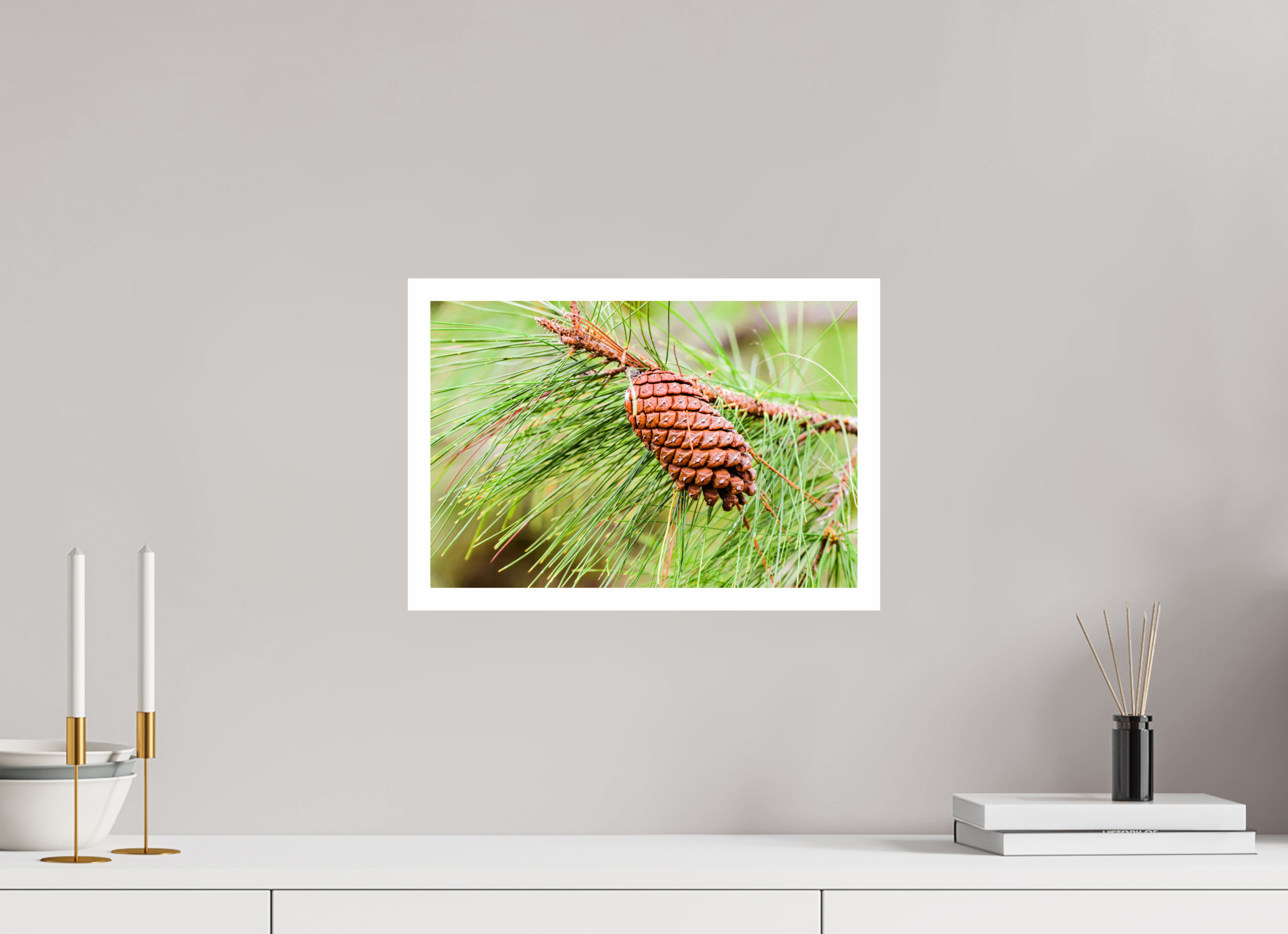 14.9 x 10″, Hahnemühle FineArt Pearl Print, .79" white border The Longleaf Pine Cone